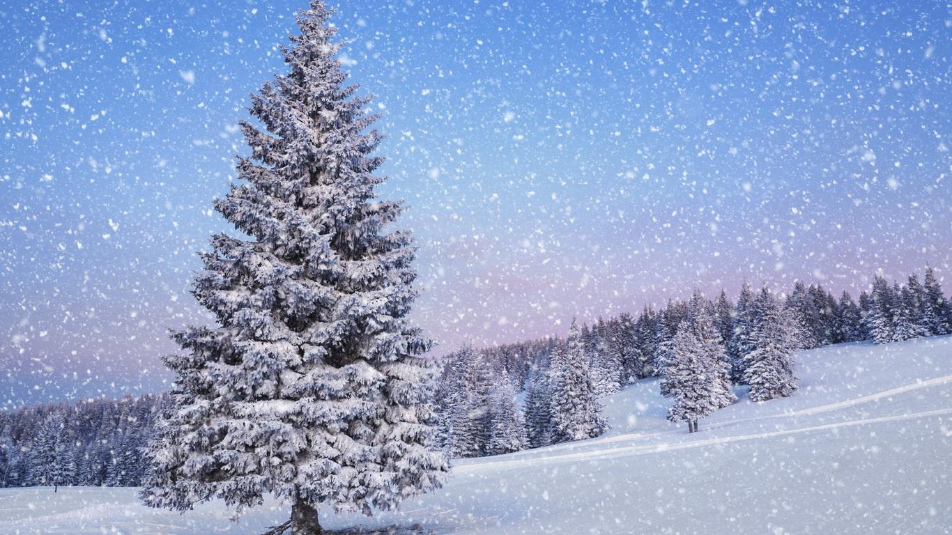 1370x770 nature, landscape, snow, winter, time of the year, Desktop