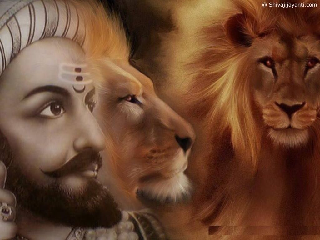 1030x770 Veer Shivaji Wallpaper. Lion HD wallpaper, Lion wallpaper, Animals, Desktop