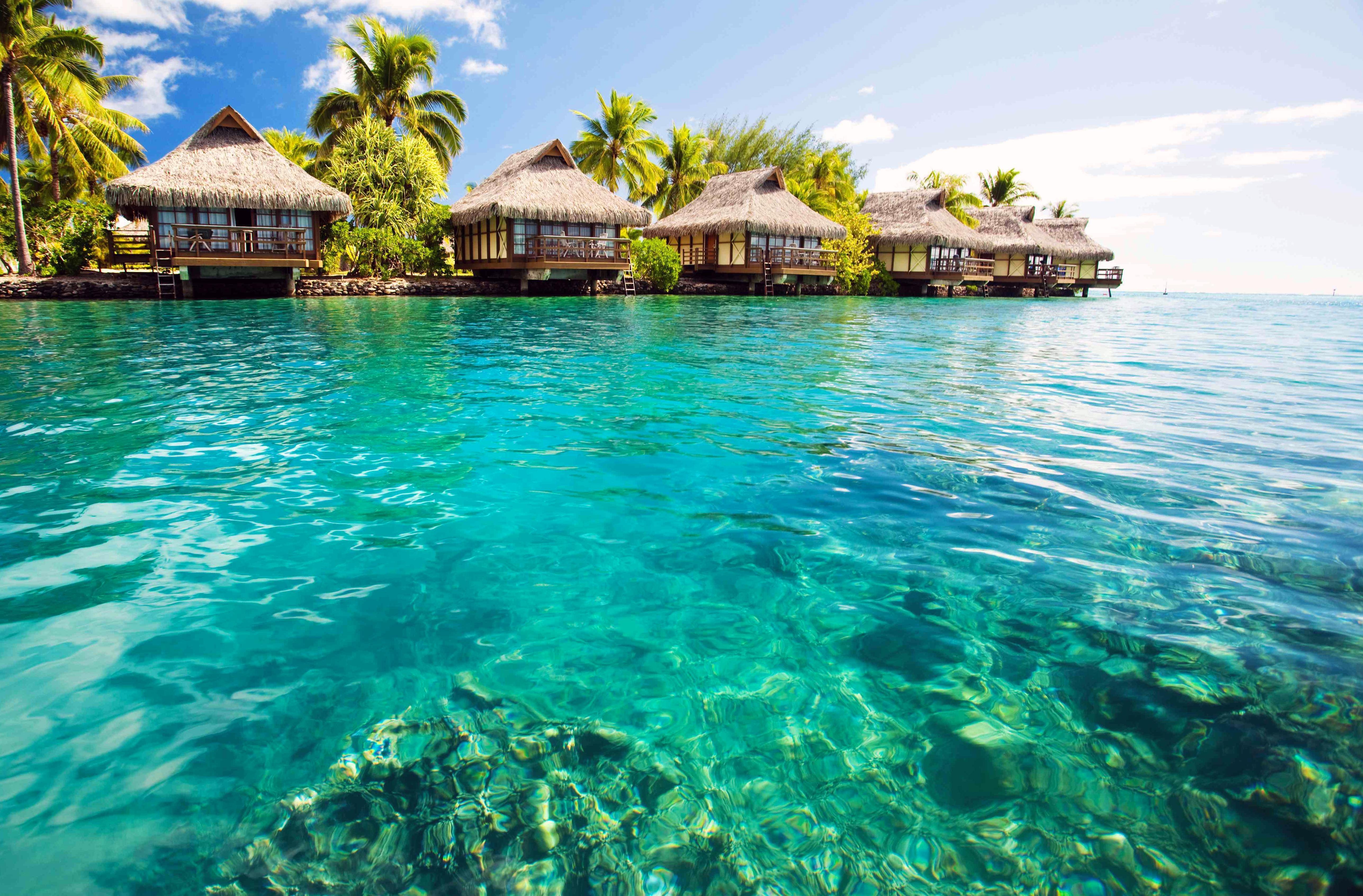 5150x3390 The most trending wallpaper in the Bahamas, Desktop