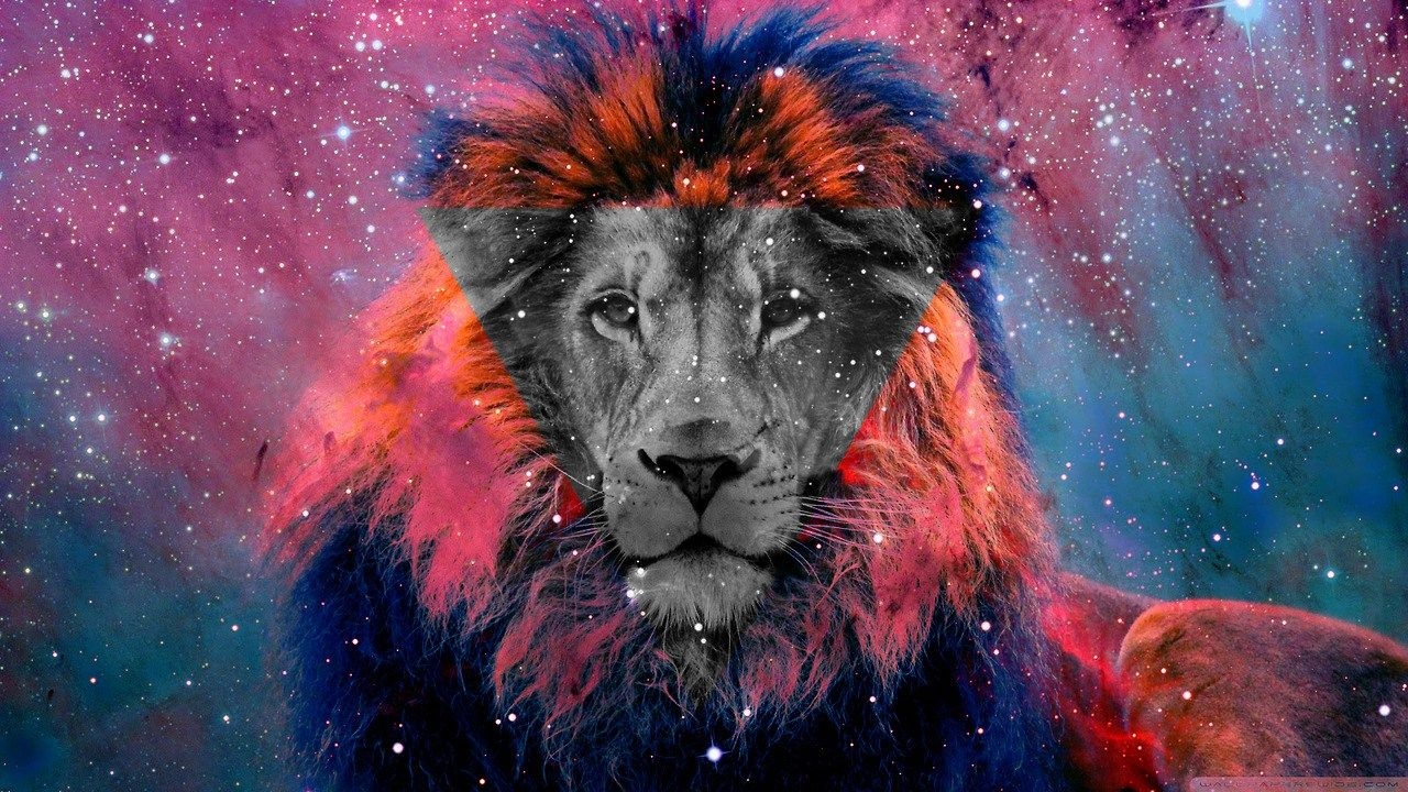 1280x720 Galaxy Cool Wallpaper Lion, Desktop