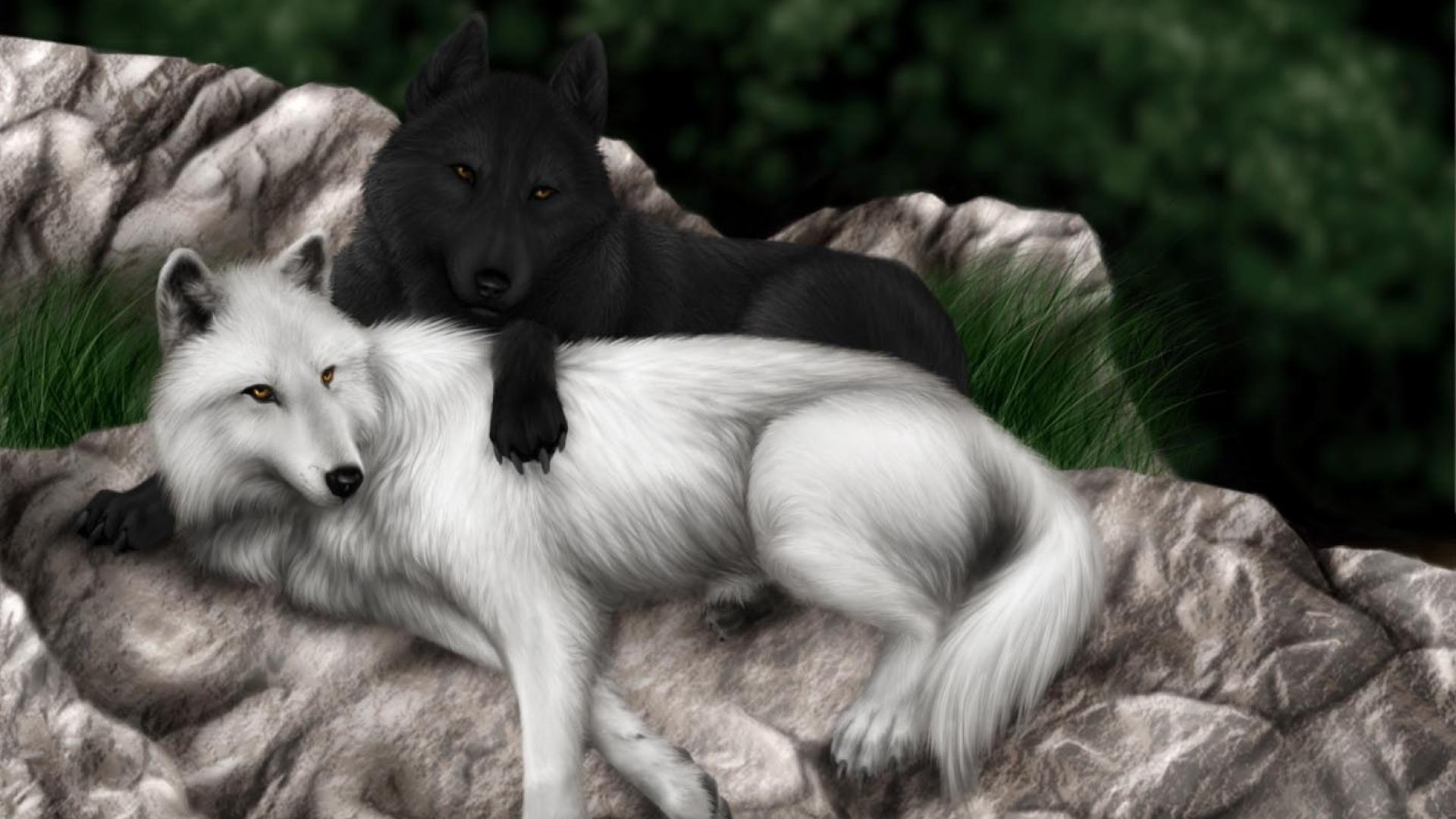 1920x1080 wolf, Wolves, Black, White Wallpaper HD / Desktop and Mobile Background, Desktop
