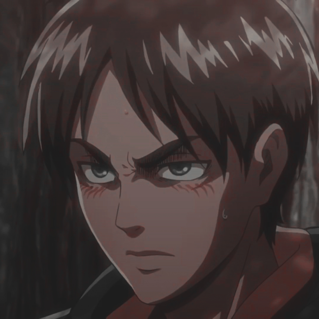 1080x1080 Eren Jaeger icon. Attack on titan tattoo, Attack on titan aesthetic, Attack on titan art, Phone