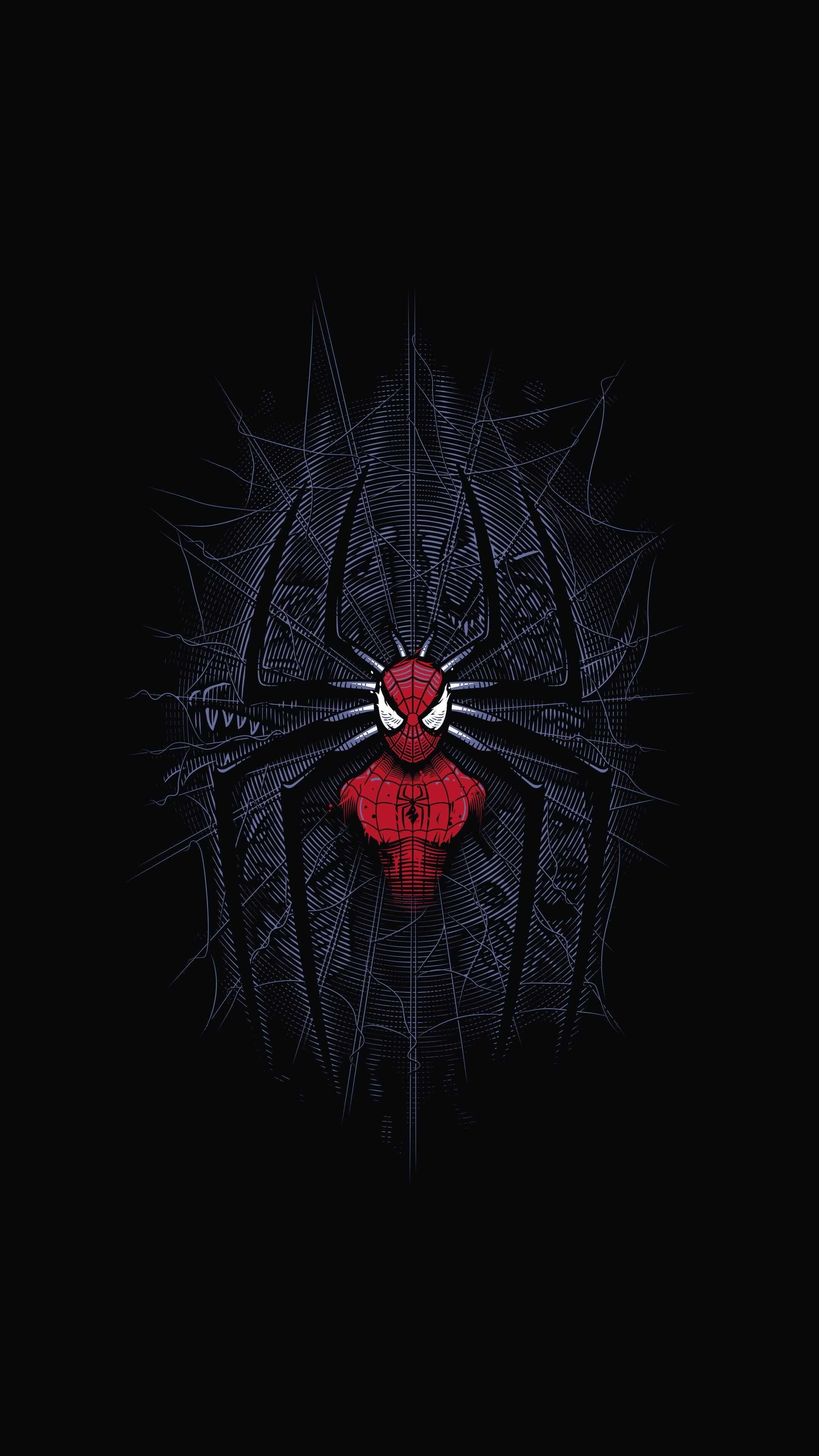 2160x3840 Spider man web iPhone Wallpaper. Marvel iphone wallpaper, Superhero wallpaper, Marvel wallpaper, Phone