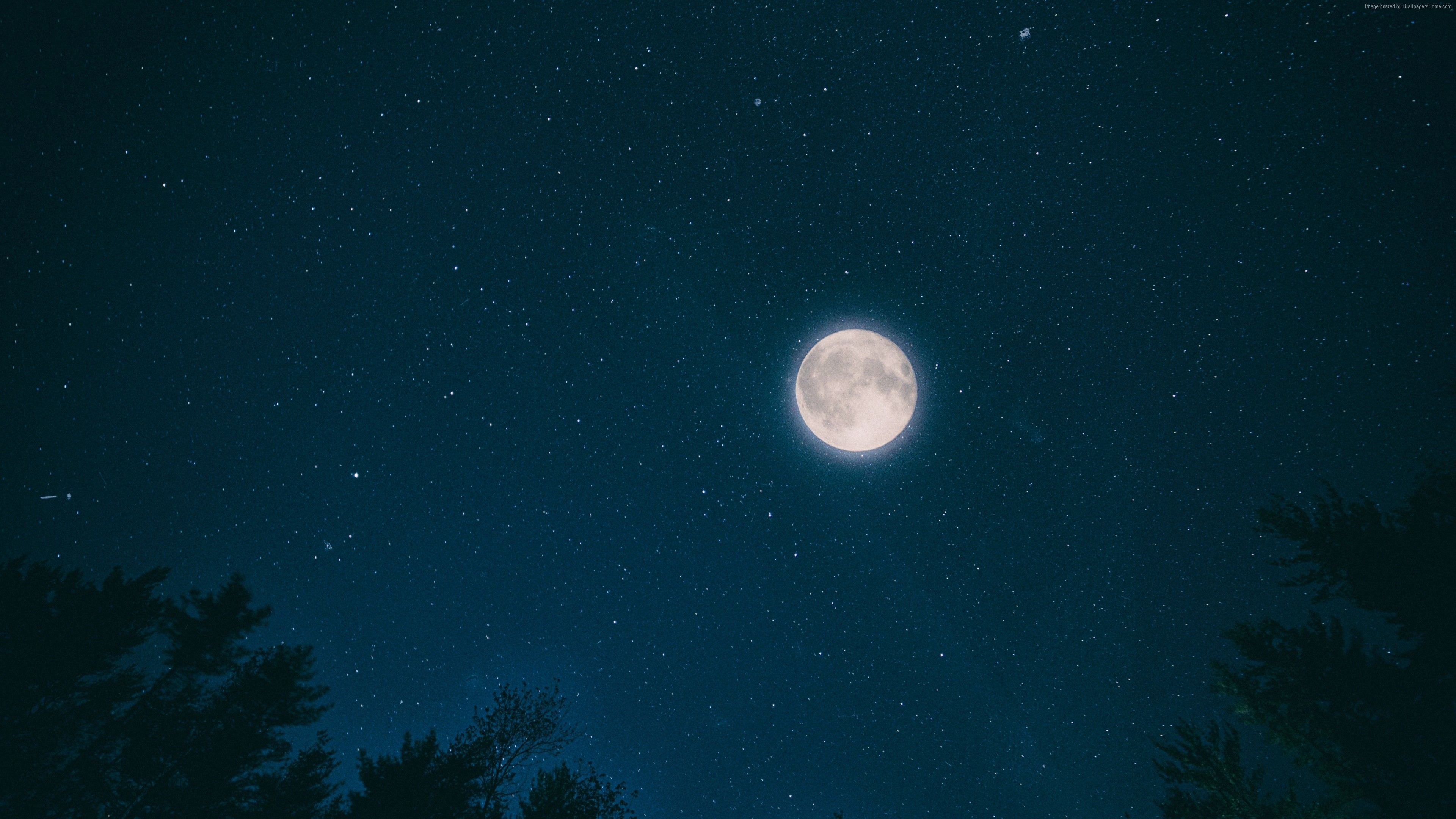 3840x2160 Stock Image night, sky, moon, stars, forest, 4k, Stock Image Wallpaper Download Resolution 4K Wallpaper, Desktop