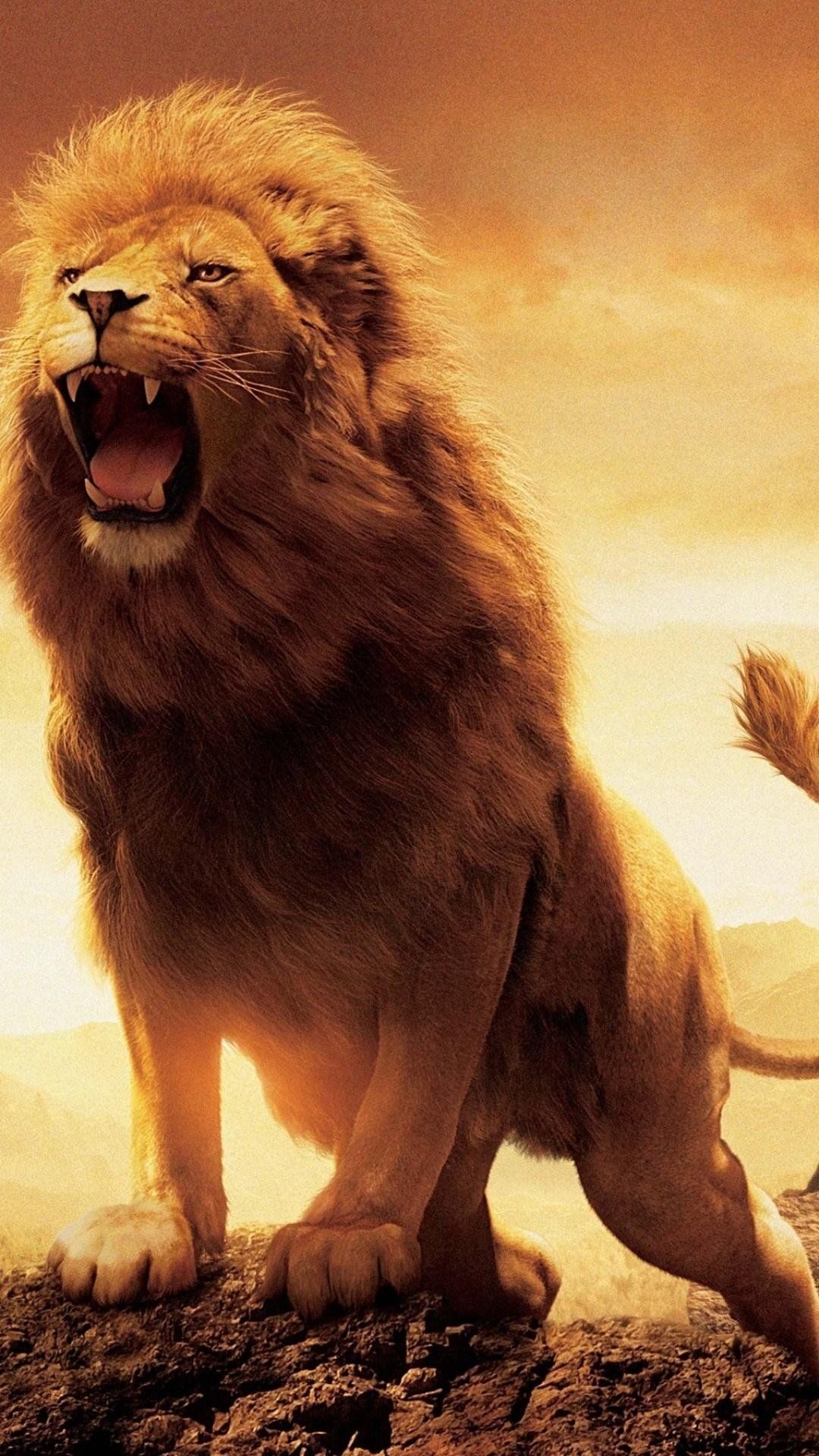 1080x1920 Lion Roaring Wallpaper Free HD Wallpaper, Phone