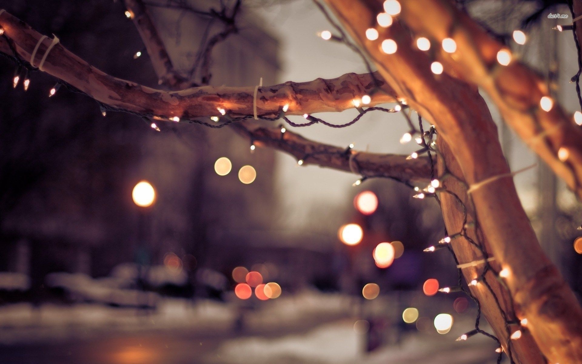 1920x1200 Christmas Lights Wallpaper, Desktop