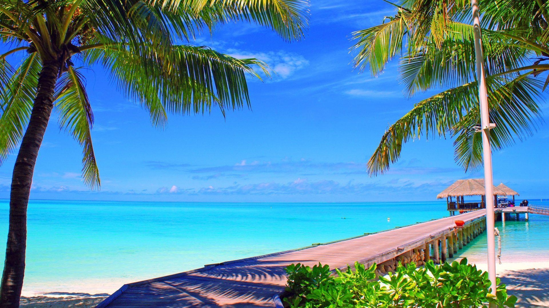 1920x1080 Palms Tag wallpaper: Sky Beach Blue Place Beautiful Palms, Desktop