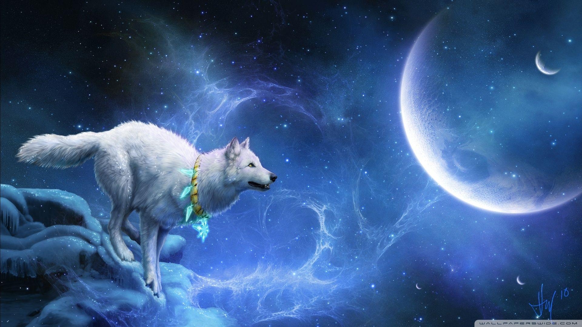 1920x1080 Magic White Wolf ❤ 4K HD Desktop Wallpaper for 4K Ultra HD TV, Desktop