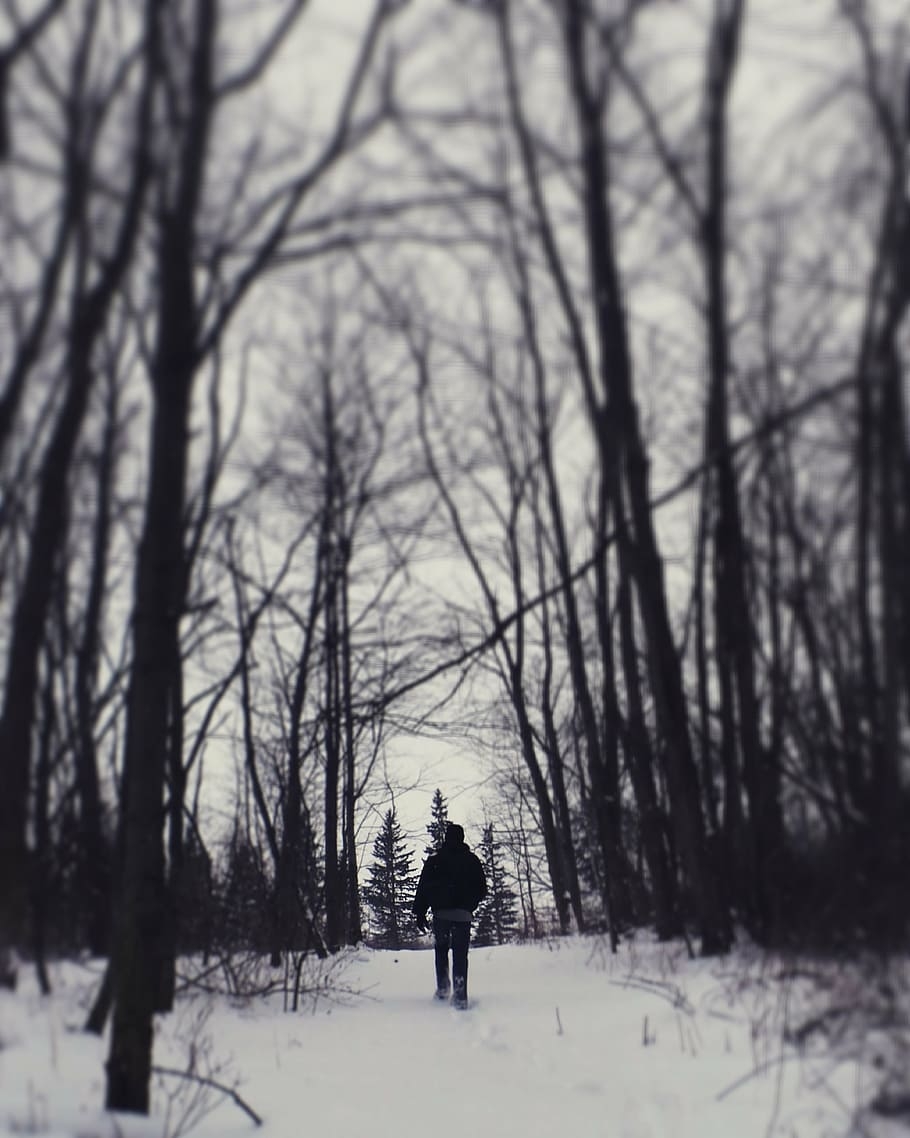 910x1140 HD wallpaper: man beneath a forest, person, walking, snow, near, trees, winter, Phone