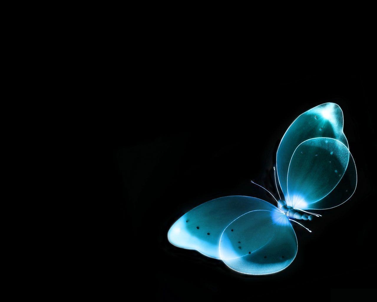 1280x1030 Butterfly Wallpaper & Background Image, Desktop