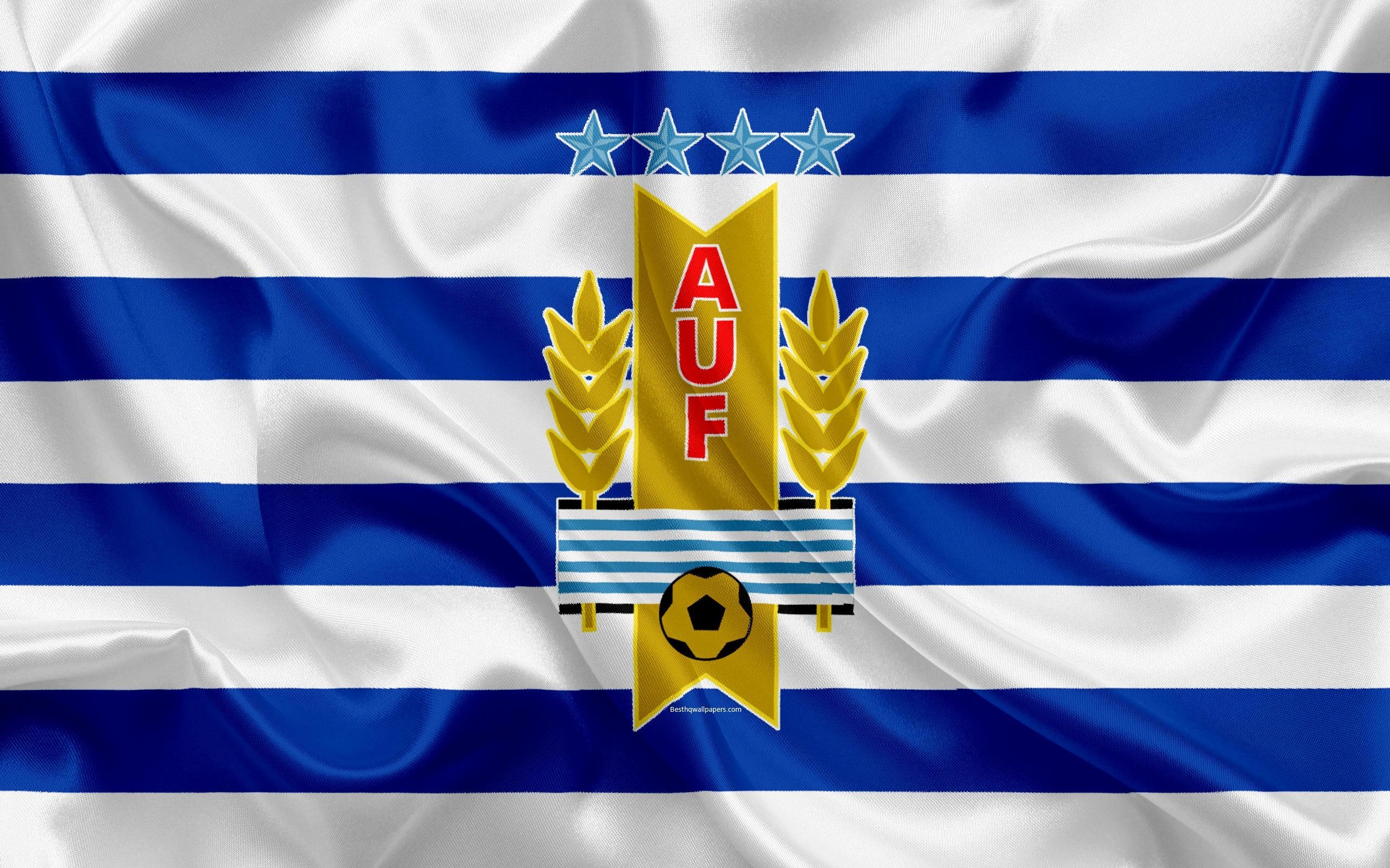 2560x1600 Download wallpaper Uruguay national football team, logo, emblem, Desktop