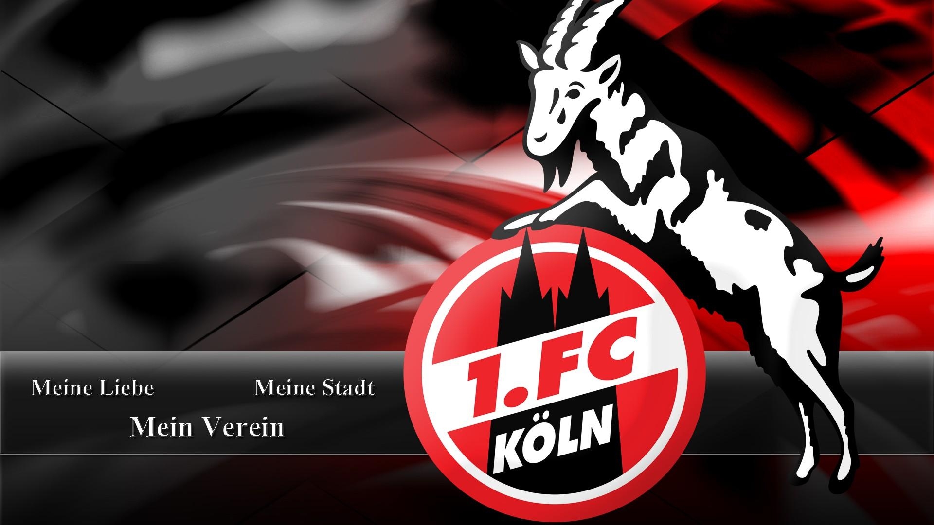 1920x1080 FC Köln  HD Wallpaper / Hintergrundbild, Desktop