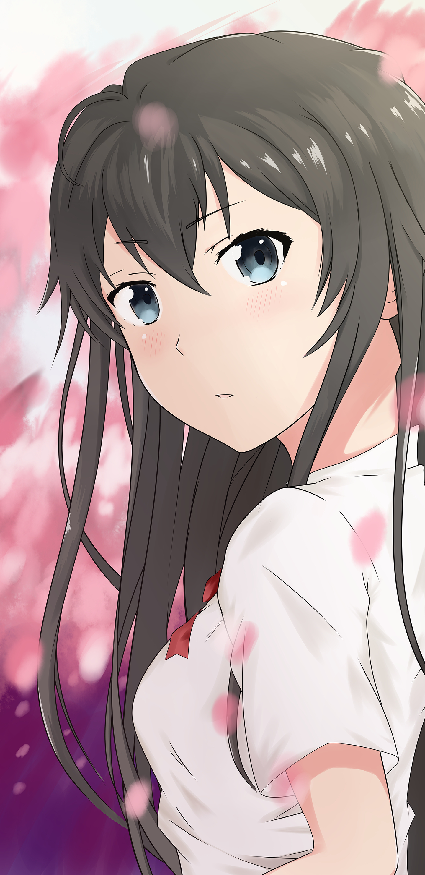 1440x2960 Yukinoshita Yukino Wallpaper, Phone