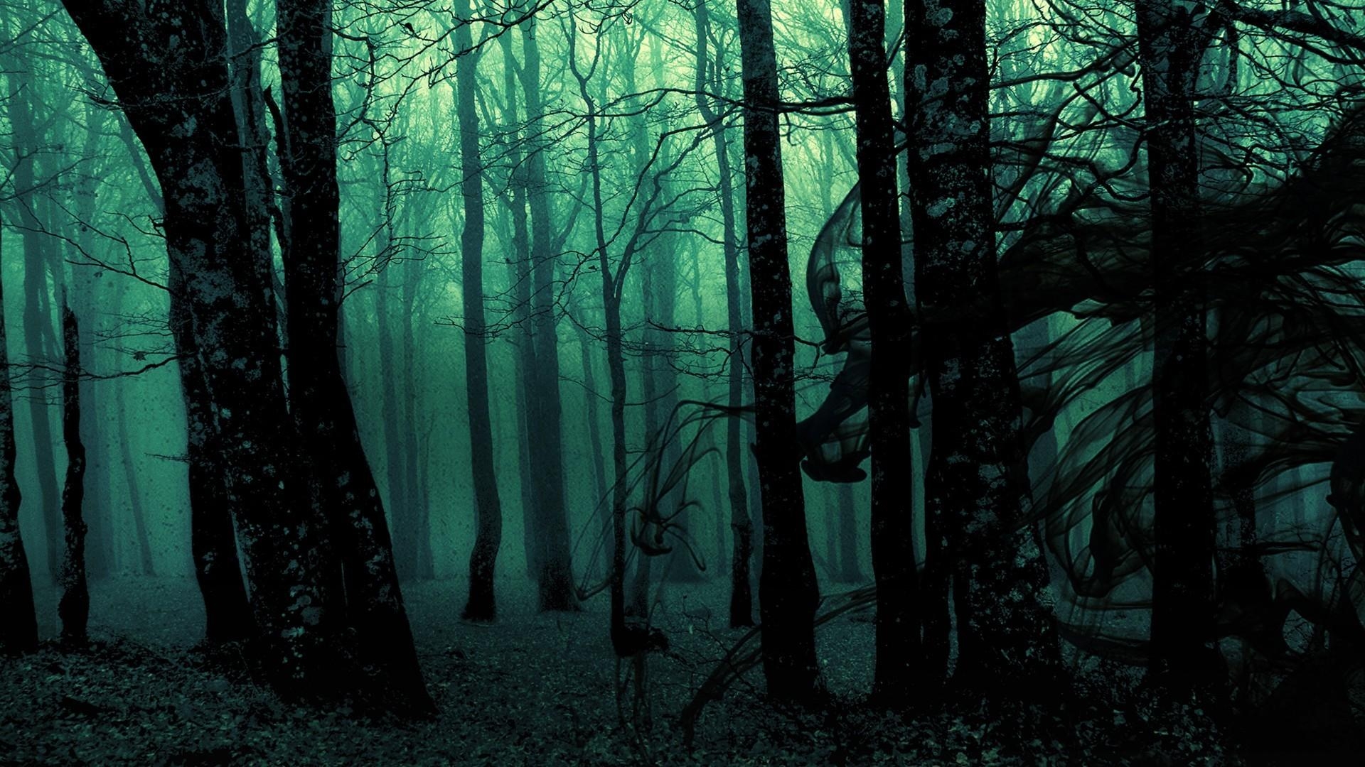 1920x1080 #green, #dark, #trees, #nature, #forest, #digital art, Desktop