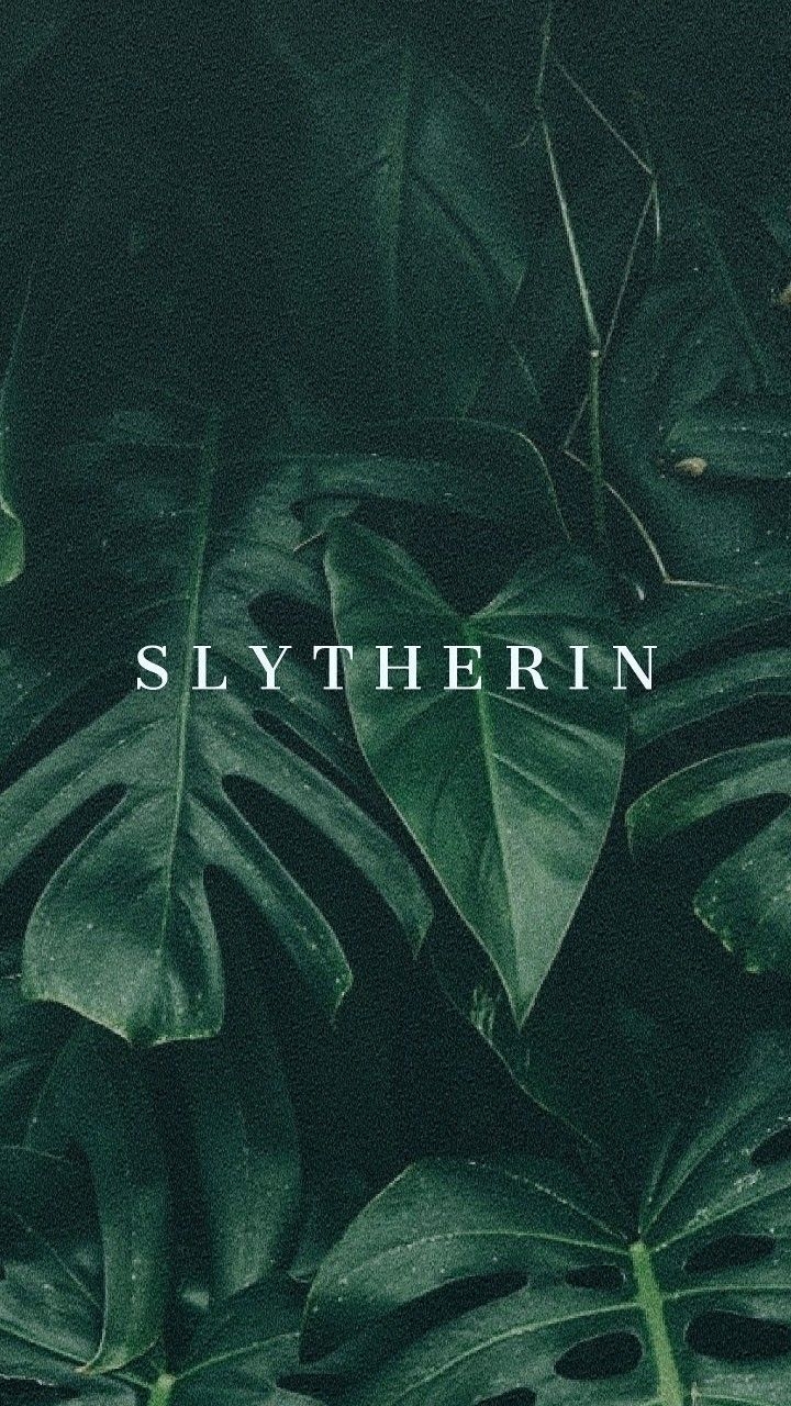 720x1280 Slytherin lockscreen. Hogwarts aesthetic, Slytherin aesthetic, Slytherin, Phone