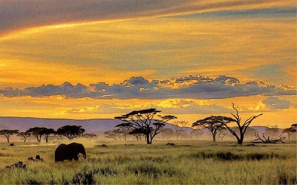 1030x640 African Safari Wallpaper Yvt2 By T Douglas Painting, Desktop