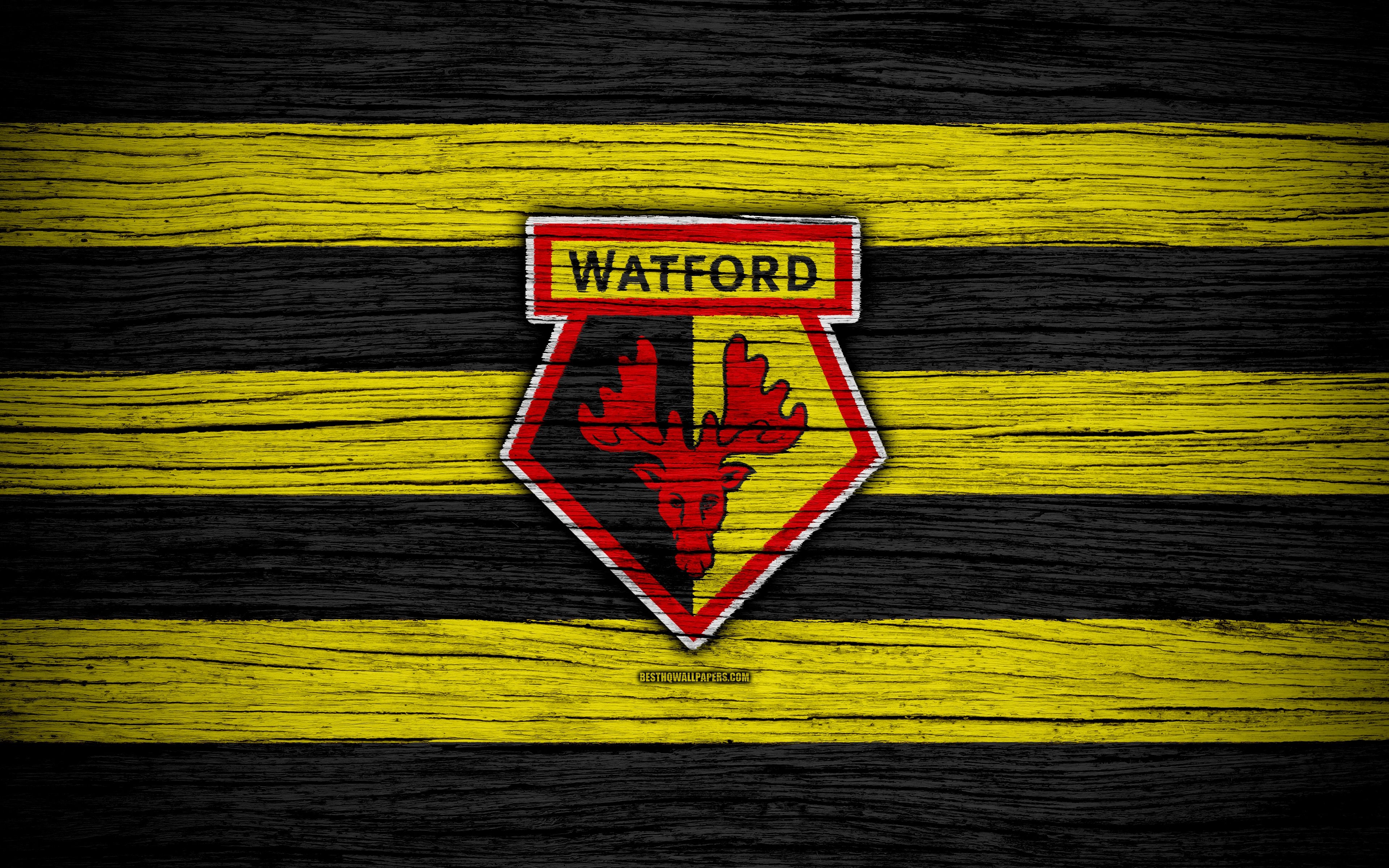 3840x2400 Download wallpaper Watford, 4k, Premier League, logo, England, Desktop