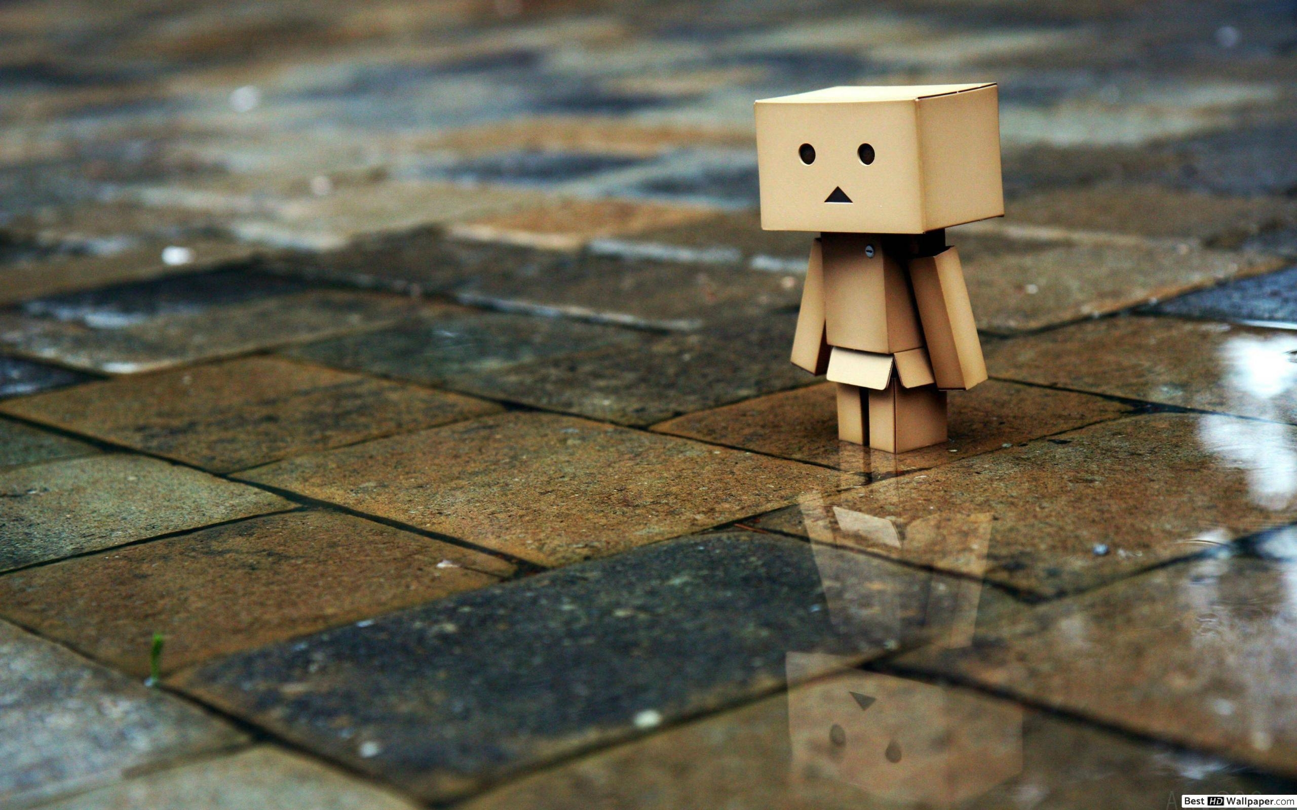 2560x1600 Sad Box man robot HD wallpaper download, Desktop