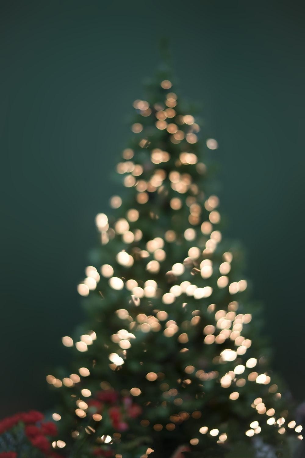 1000x1500 Christmas Tree Image: Download HD Picture & Photo, Phone