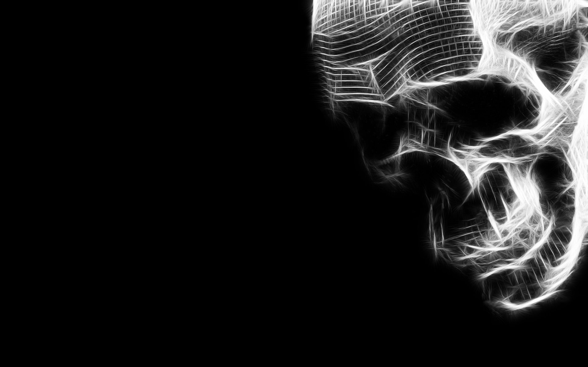 1920x1200 cyber skull, Desktop