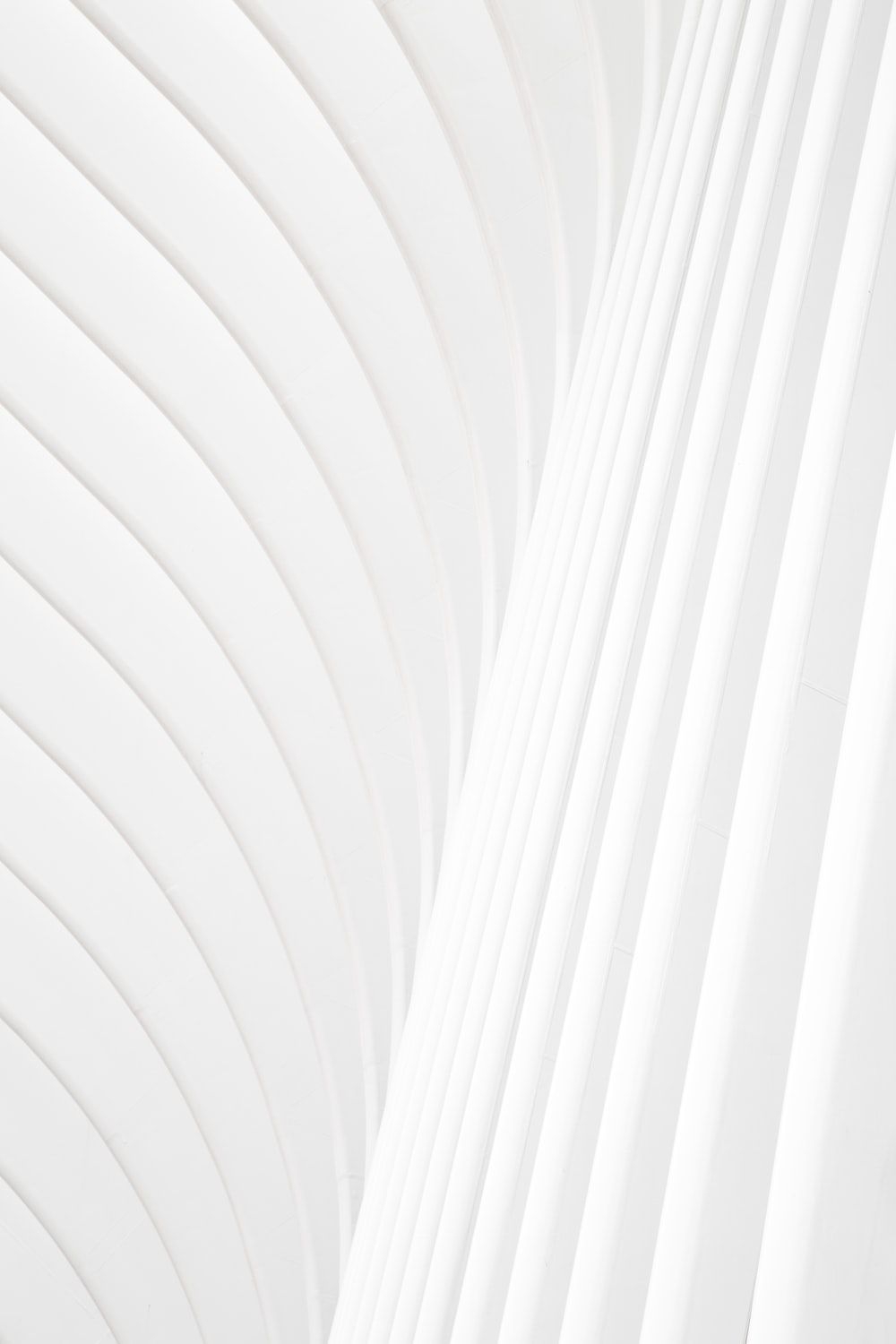 1000x1500 White Wallpaper: Free HD Download [HQ], Phone