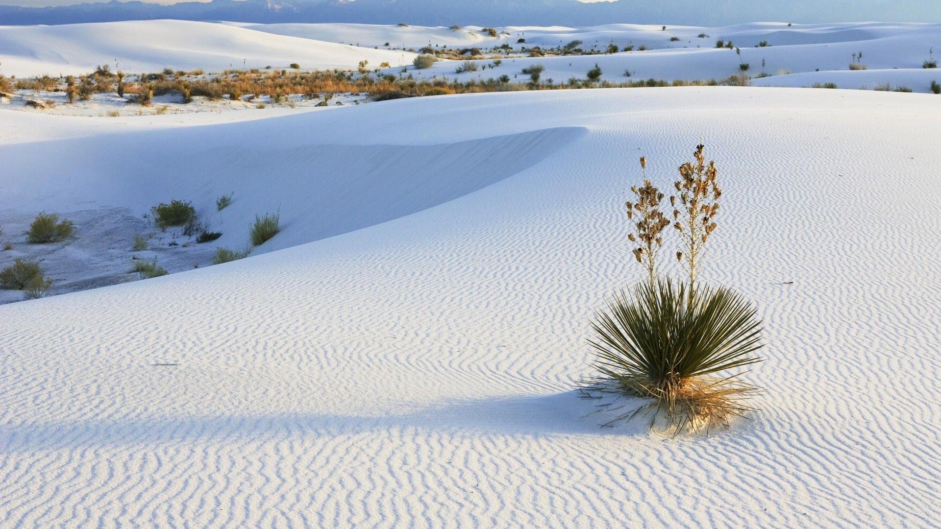 1920x1080 My '81 Gold Winghanging out at White Sands National Monument HD, Desktop