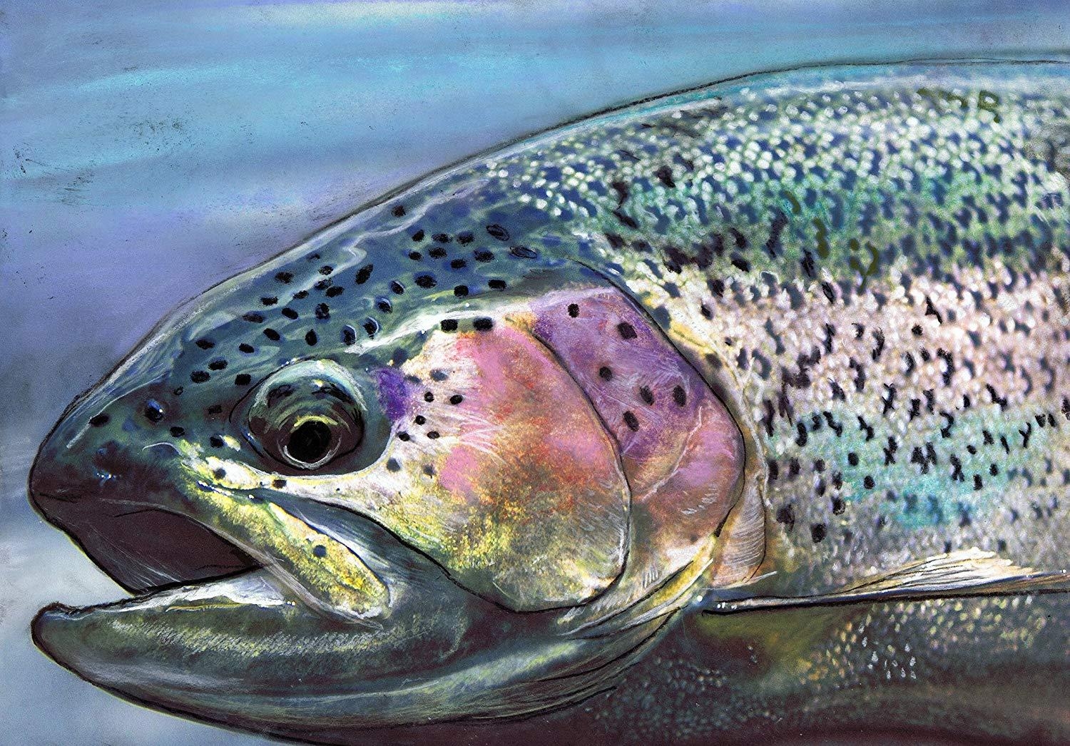 1500x1050 Rainbow Trout, Fly Fishing Art Gift Fishing Rainbow, Desktop