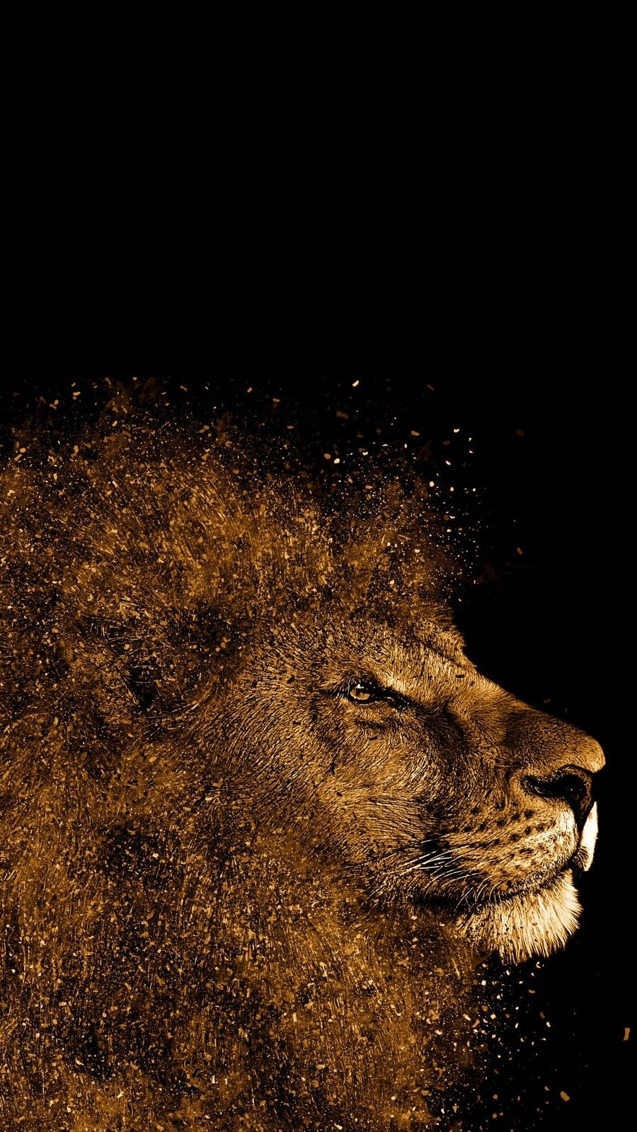 900x1600 Wallaper. Phone wallpaper for men, Lion wallpaper, Jesus wallpaper, Phone