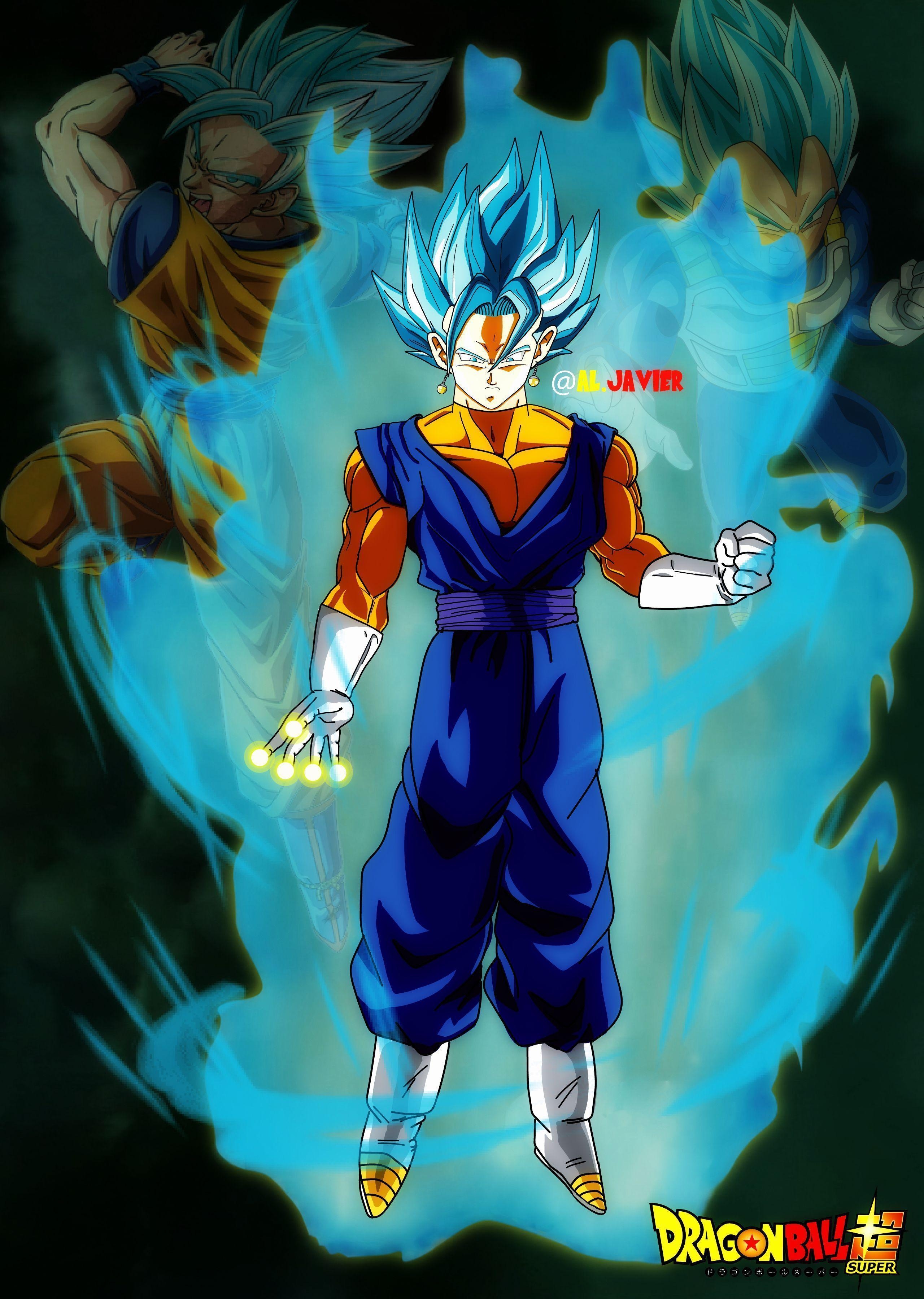 2560x3600 Super Saiyan Blue Vegito, Phone