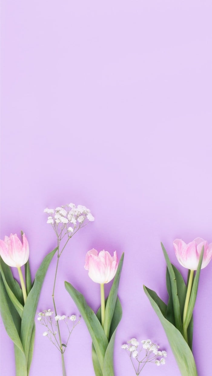 700x1250 Free Simple Bright Tulip Mobile, Phone