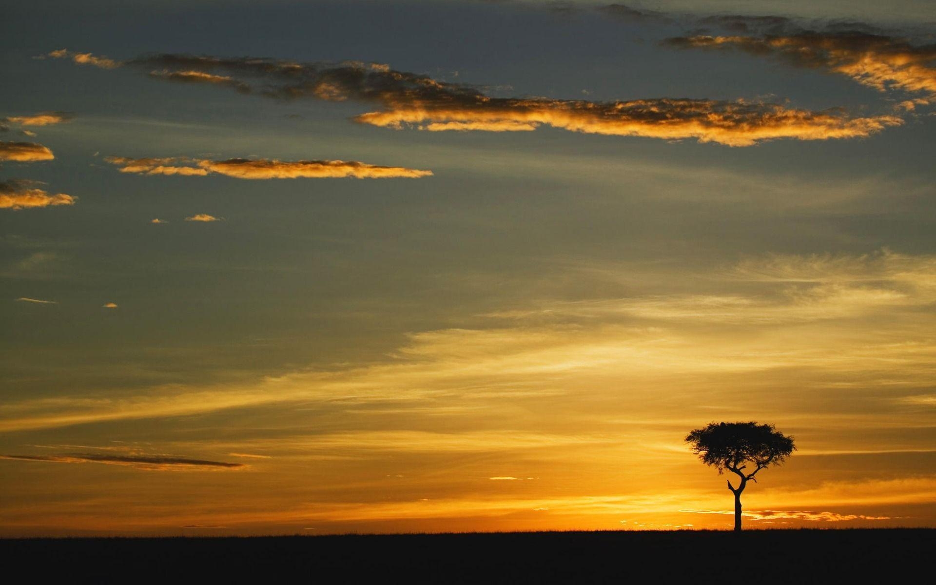 1920x1200 Acacia Tree Wallpaper Kenya World Wallpaper in jpg format, Desktop