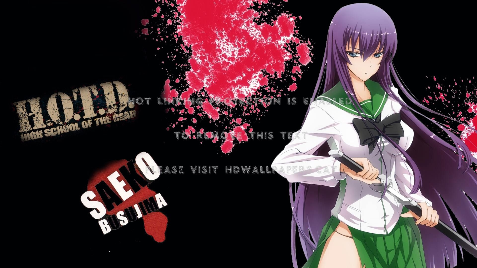 1920x1080 Saeko Busujima Highschool Of The Dead Black, Desktop