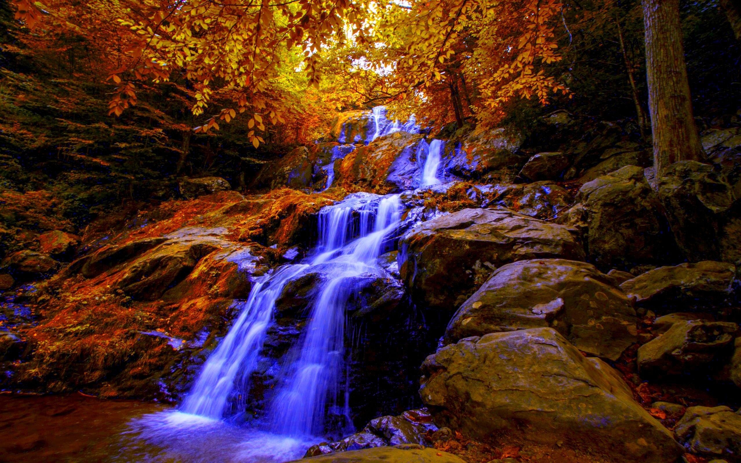 2560x1600 Waterfalls: AUTUMN FALLS Dark Hollow River Stream Virginia USA, Desktop