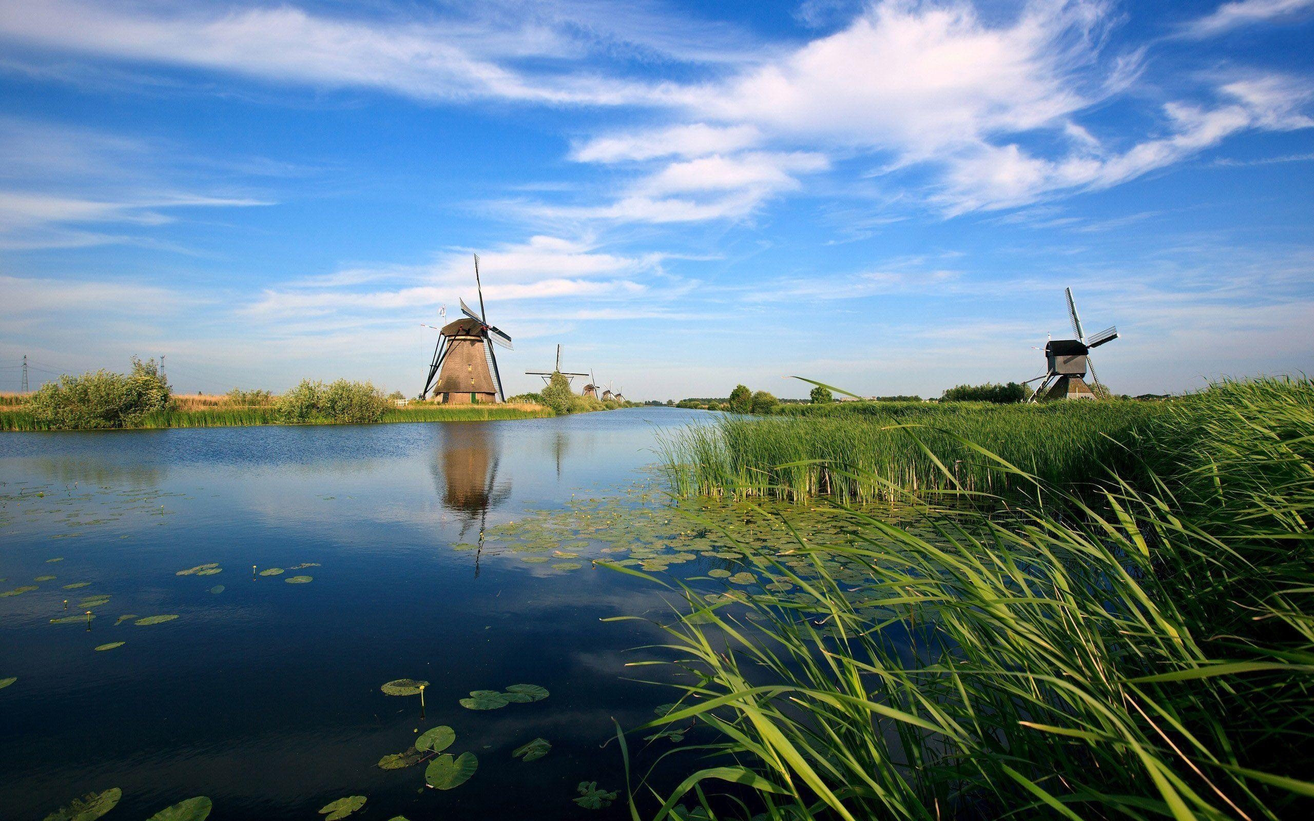 2560x1600 Lily Pond And Windmills Wallpaper Wide or HD, Desktop