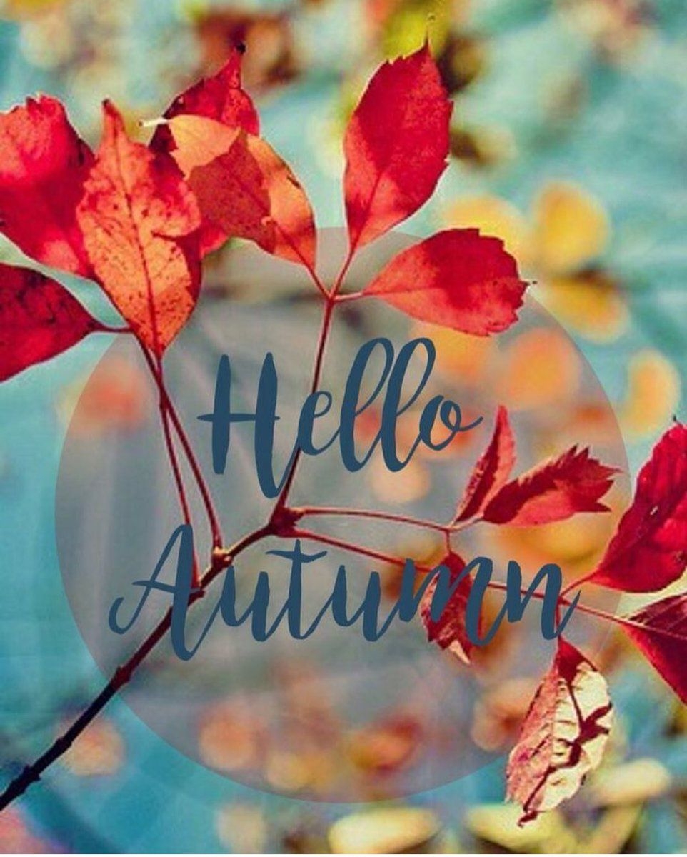 970x1200 Hello Autumn Wallpaper Free Hello Autumn Background, Phone