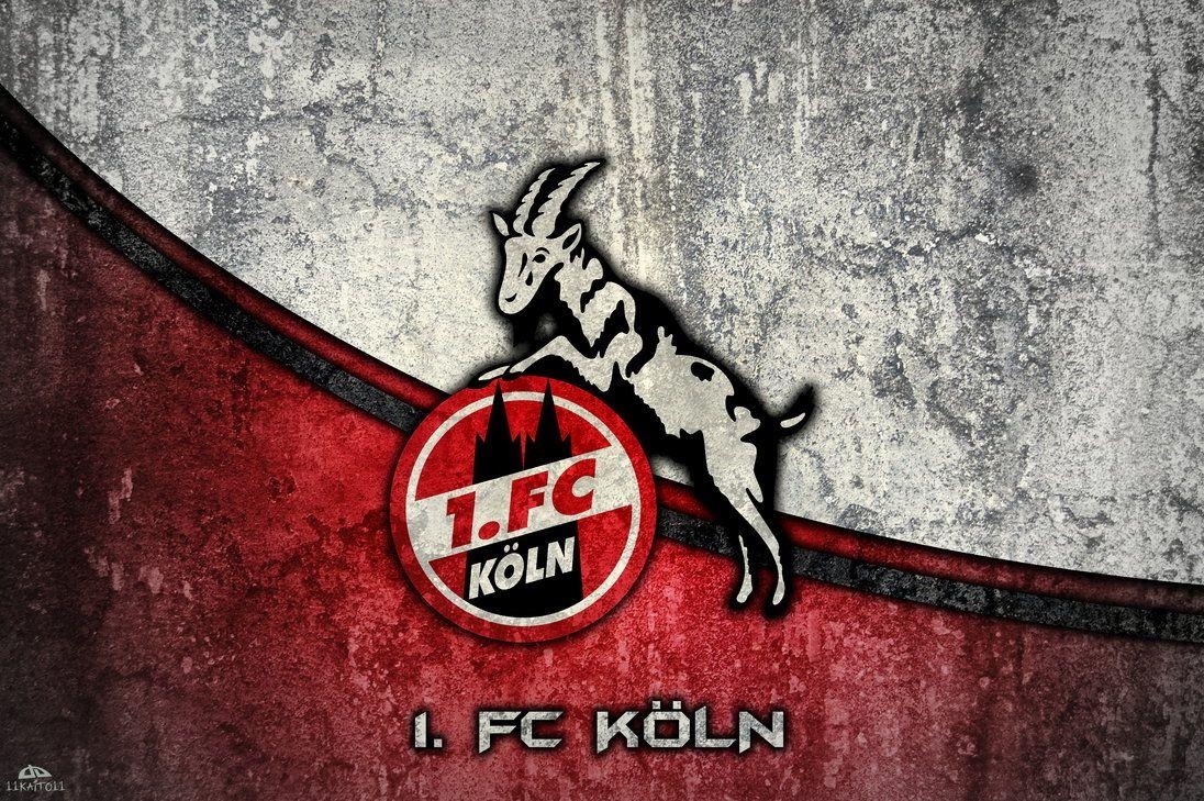 1100x730 1. FC Koeln (Wallpaper 1), Desktop
