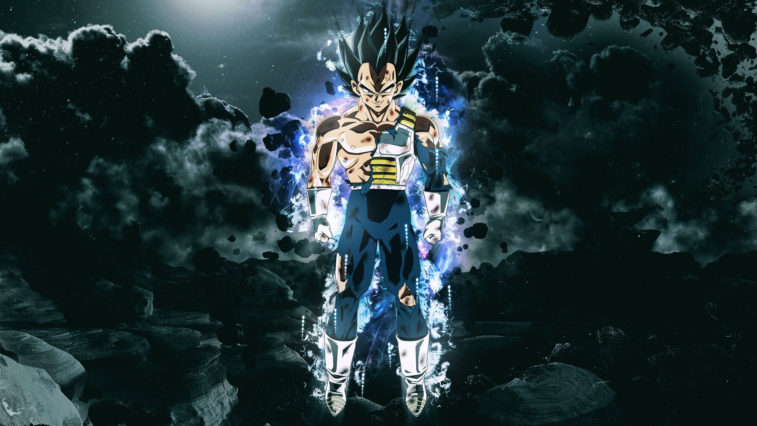 2560x1440 Dragon Ball Z Vegeta Digital Wallpaper, Dragon Ball • Wallpaper For You, Desktop