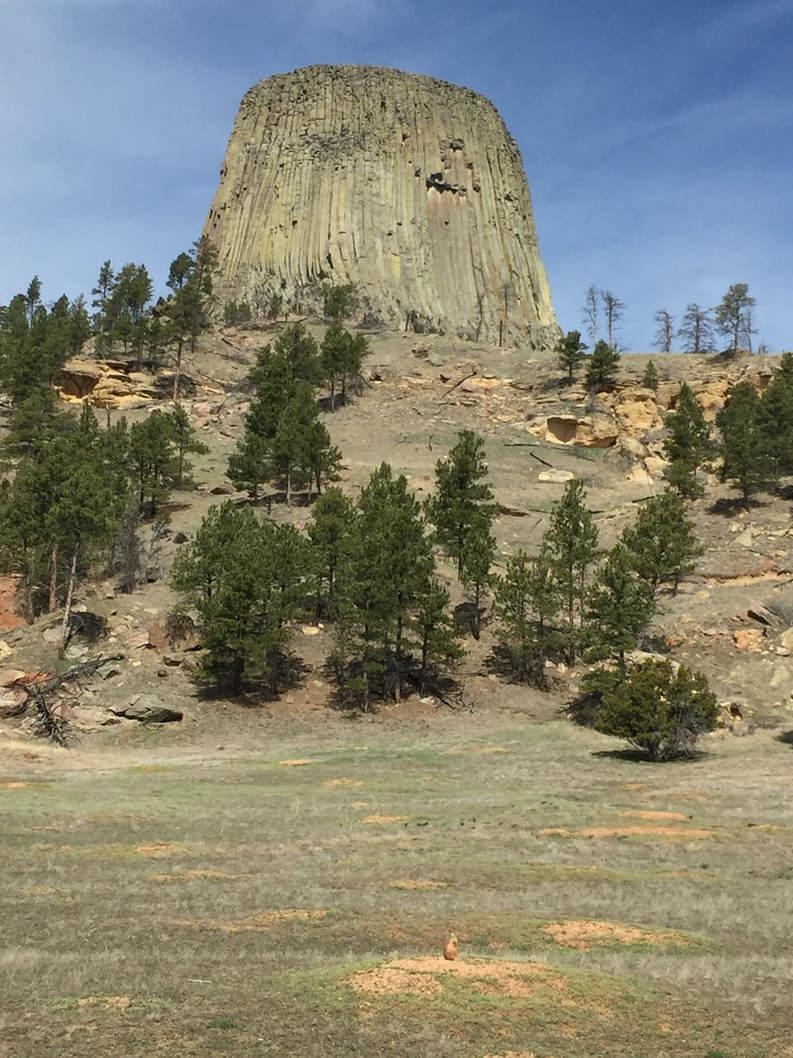 800x1060 Devils Tower & Black Hills of Wyoming, Phone