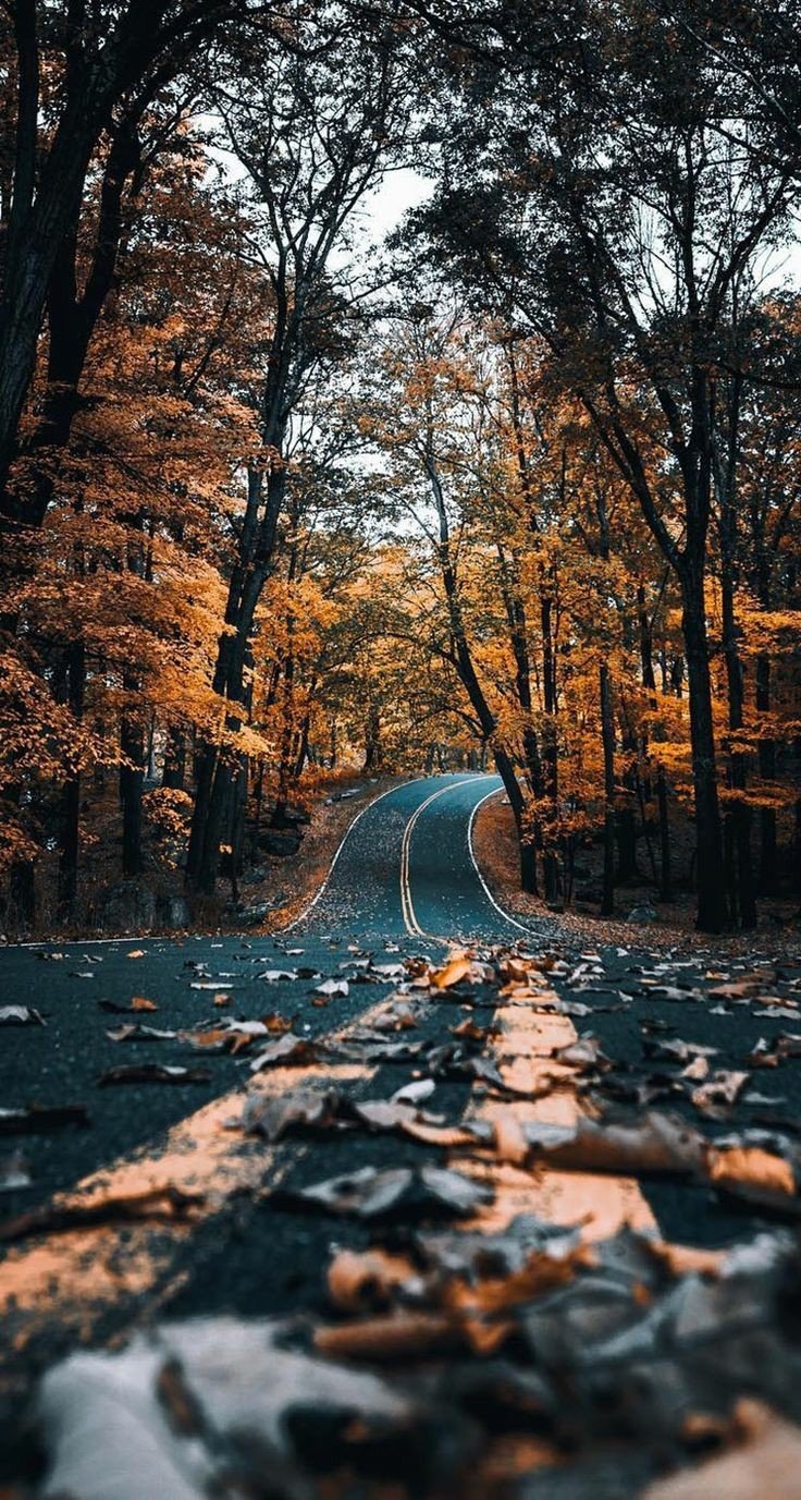 740x1380 Vintage autumn Wallpaper Download, Phone