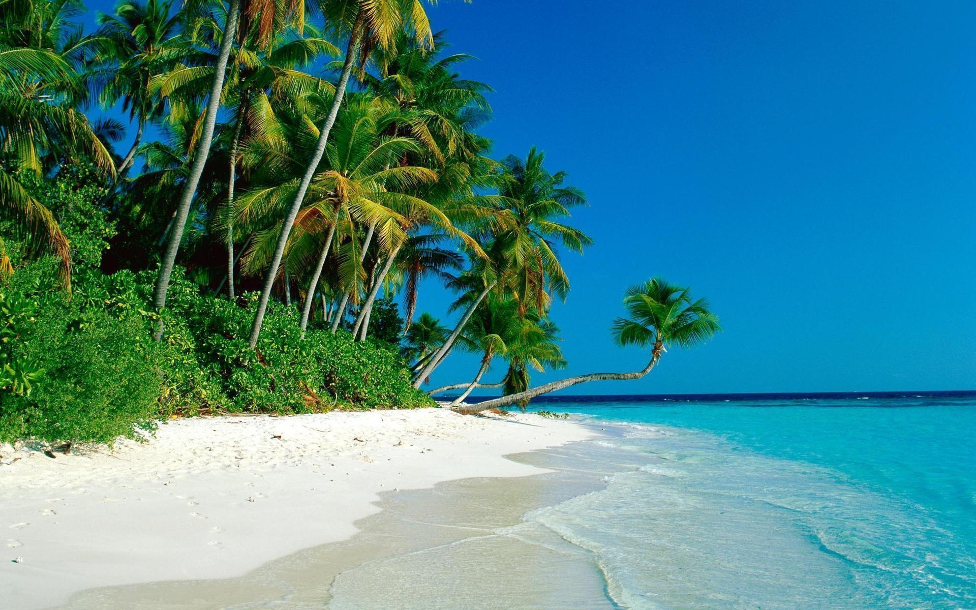 1920x1200 Tropical Island Beach Best Full HD Wallpaper Background, Desktop