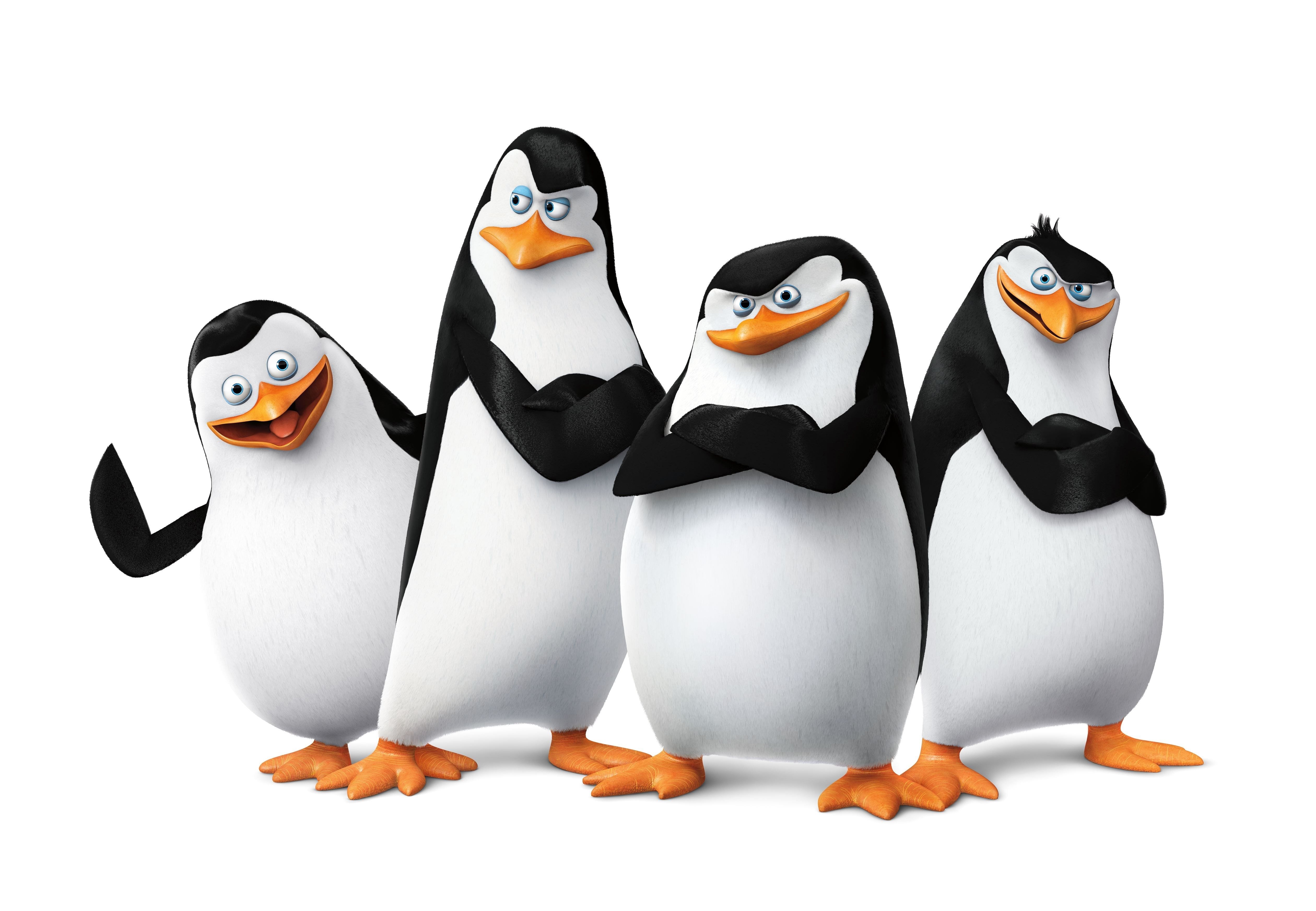 5040x3490 penguin, Desktop
