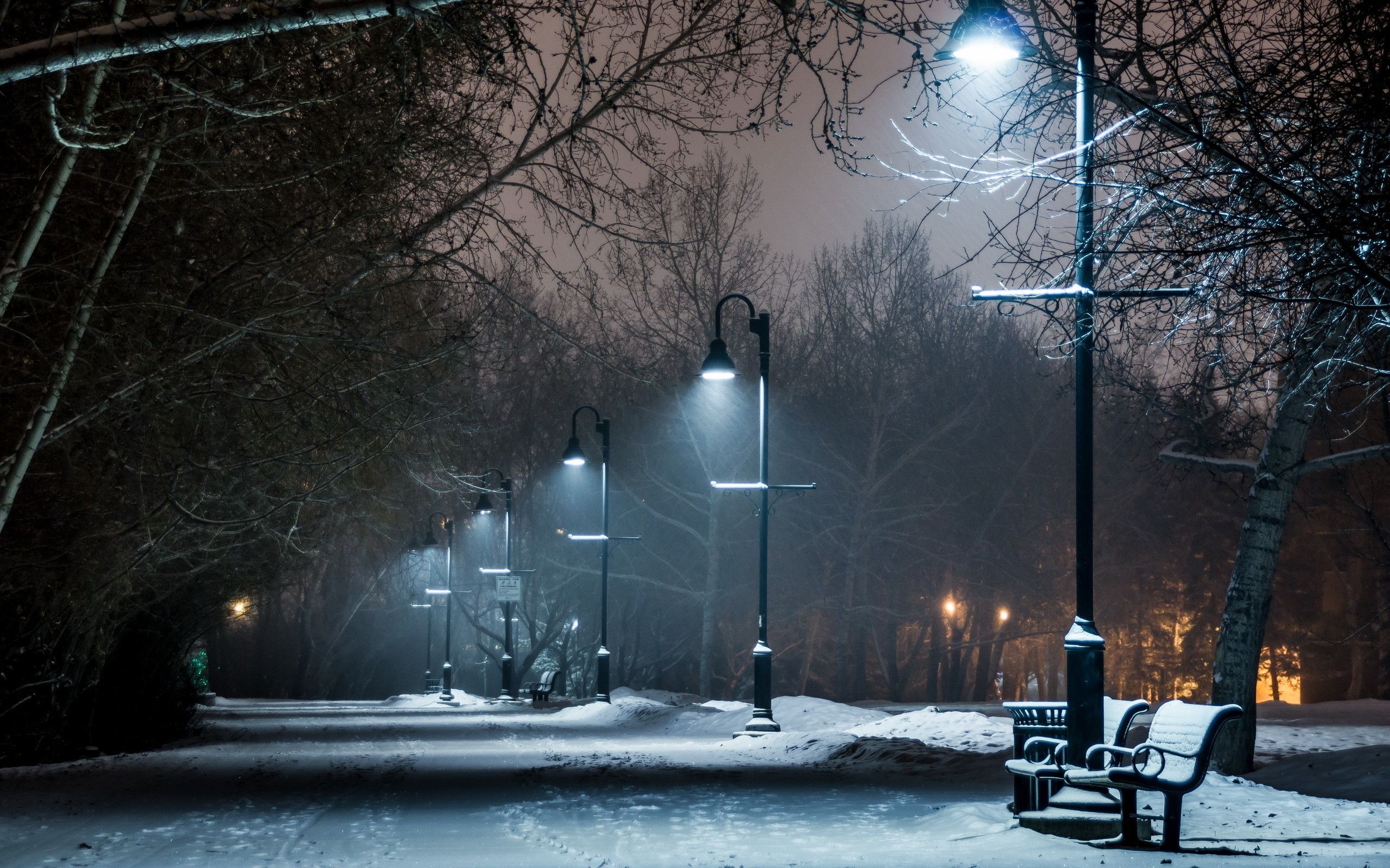 2560x1600 Dark Winter Night Wallpaper, Desktop