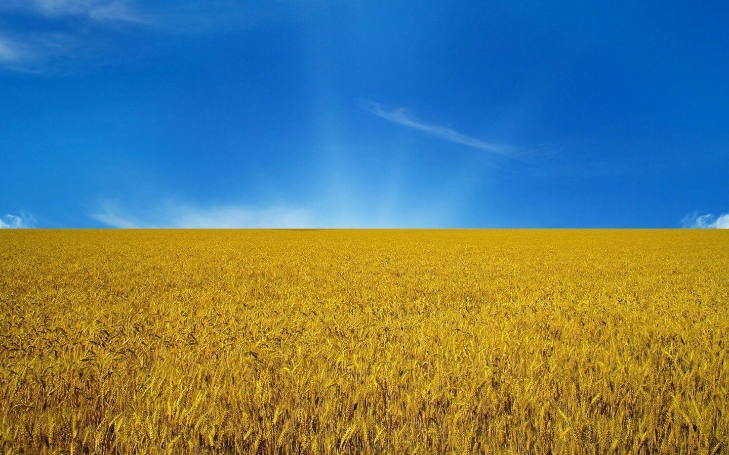1440x900 Ukraine Flag. Ukraine, flag, sky, flag 110612 zeusbox com. Ukraine, Desktop