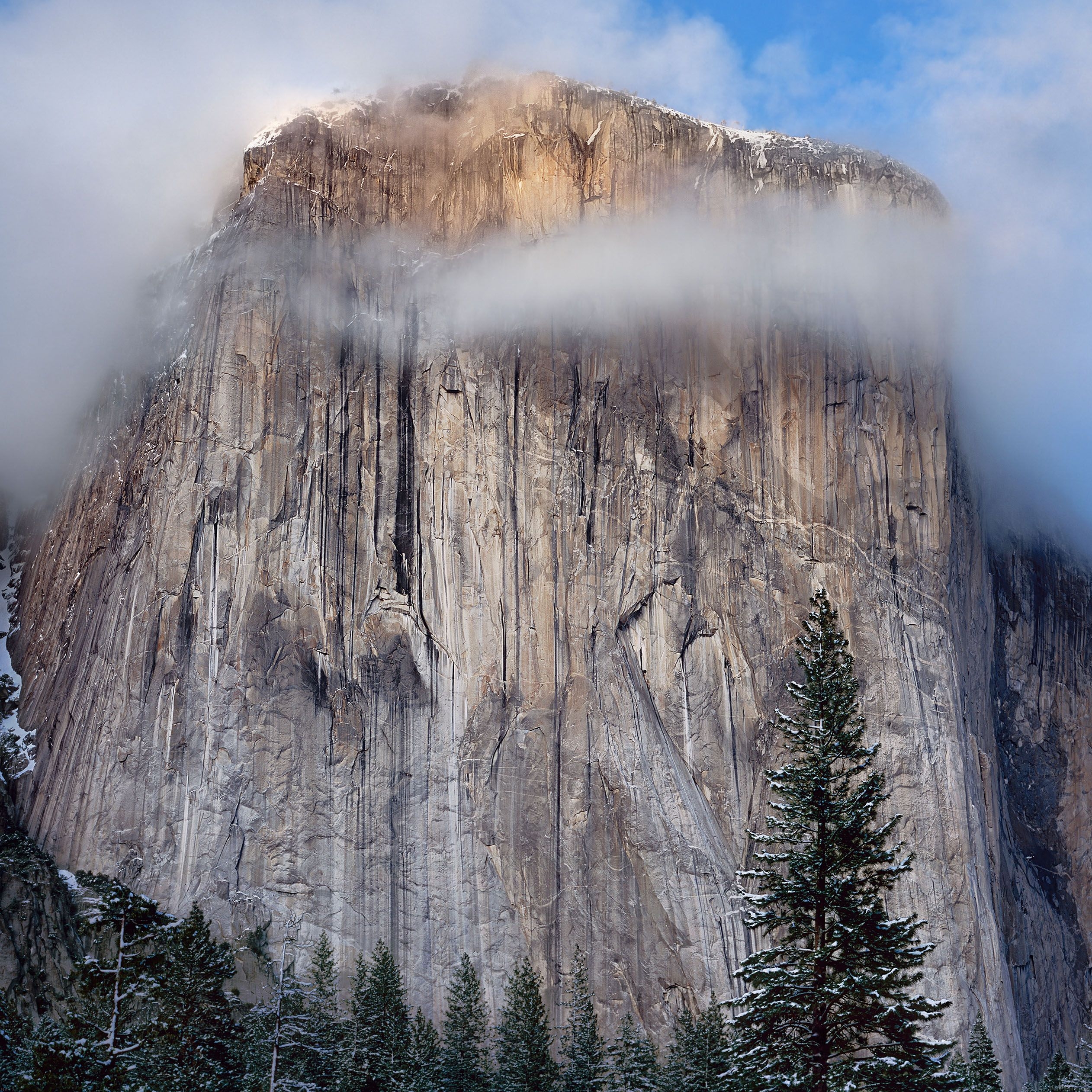 2530x2530 Yosemite National Park wallpaper for iPhone and iPad, Phone