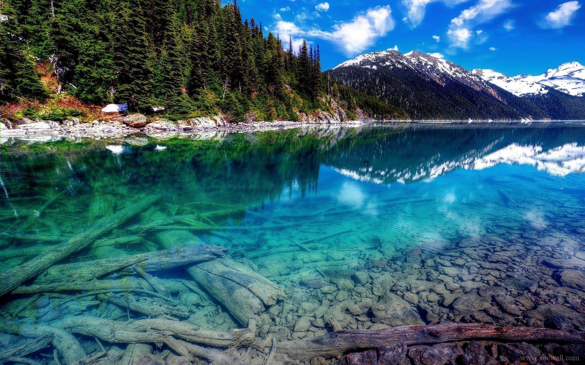 1920x1200 4K Nature wallpaperDownload free HD background, Desktop