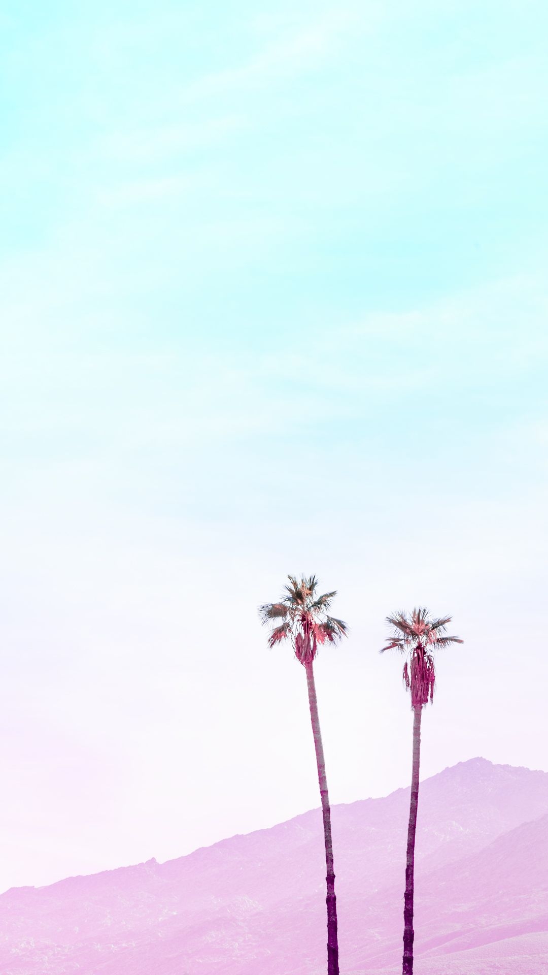 1080x1920 iPhone Wallpaper. Pink, Sky, Nature, Flower, Daytime, Plant, Phone