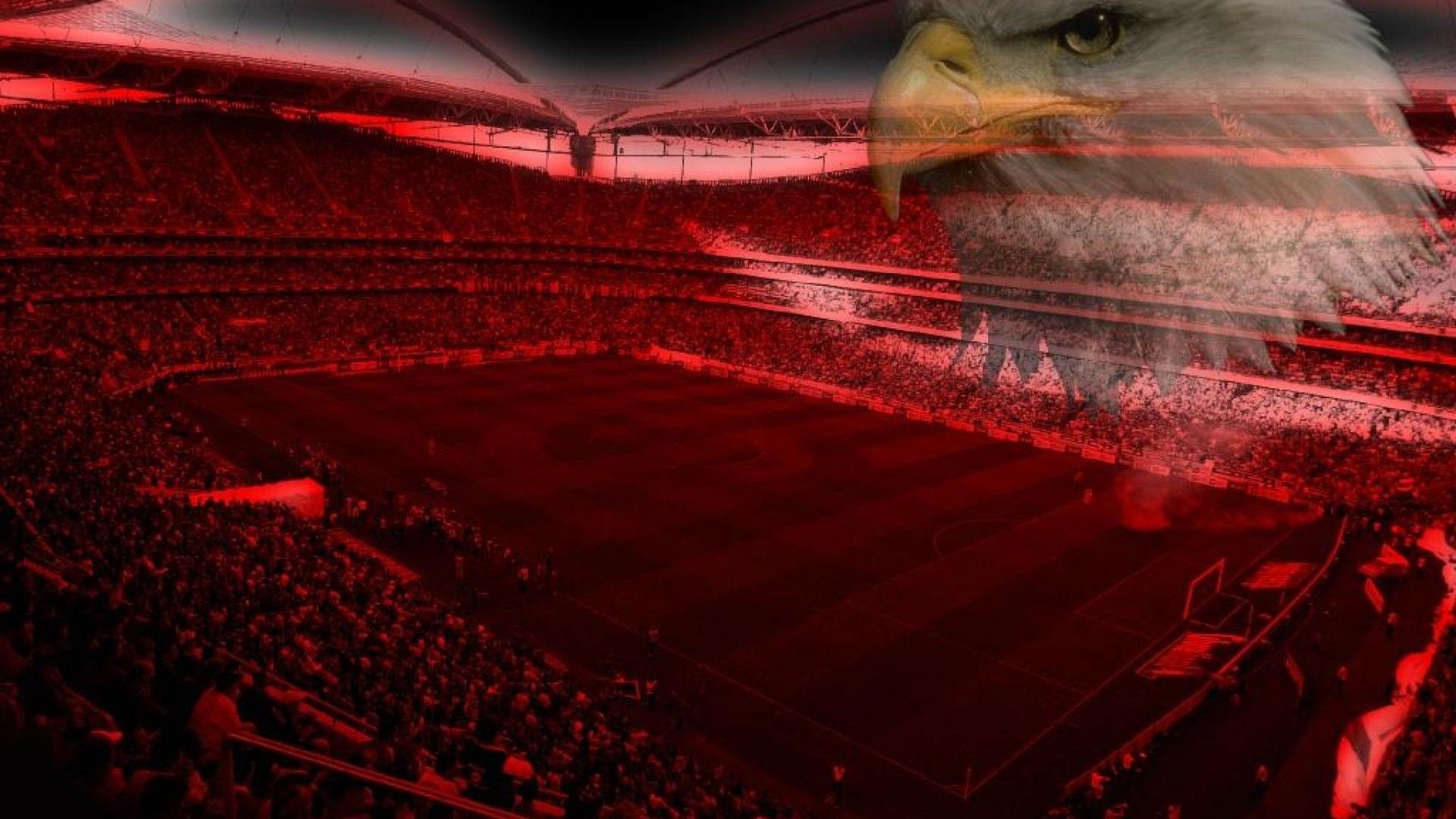 1920x1080 Download  Estadio da Luz SL Benfica Wallpaper, Desktop