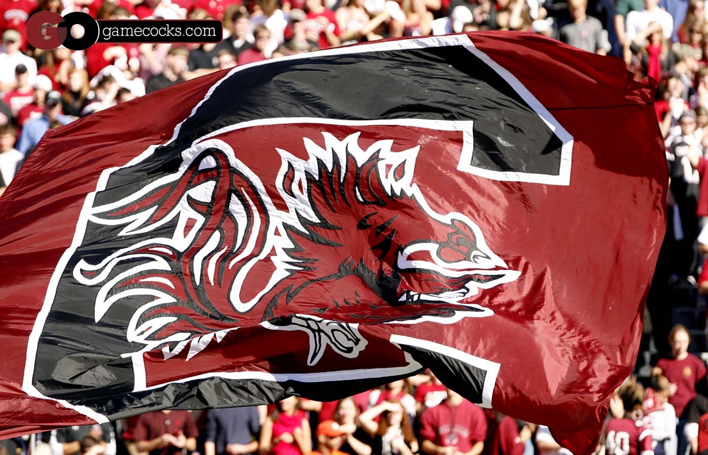 1400x900 South Carolina Gamecocks Wallpaper and Background Image, Desktop