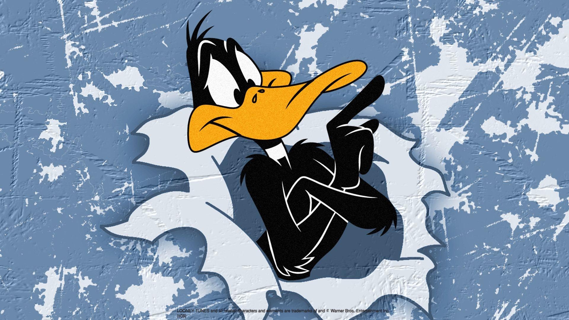 1920x1080 Daffy Duck HD Wallpaper 26169, Desktop