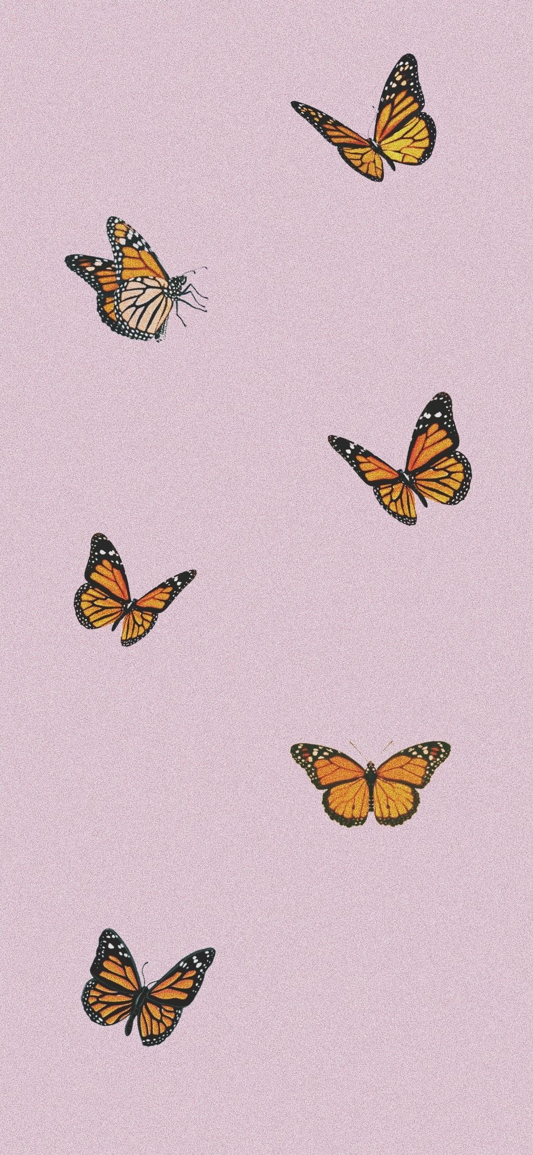 1080x2340 Butterfly Wallpaper Aesthetic Pinkwalpaperlist.com, Phone